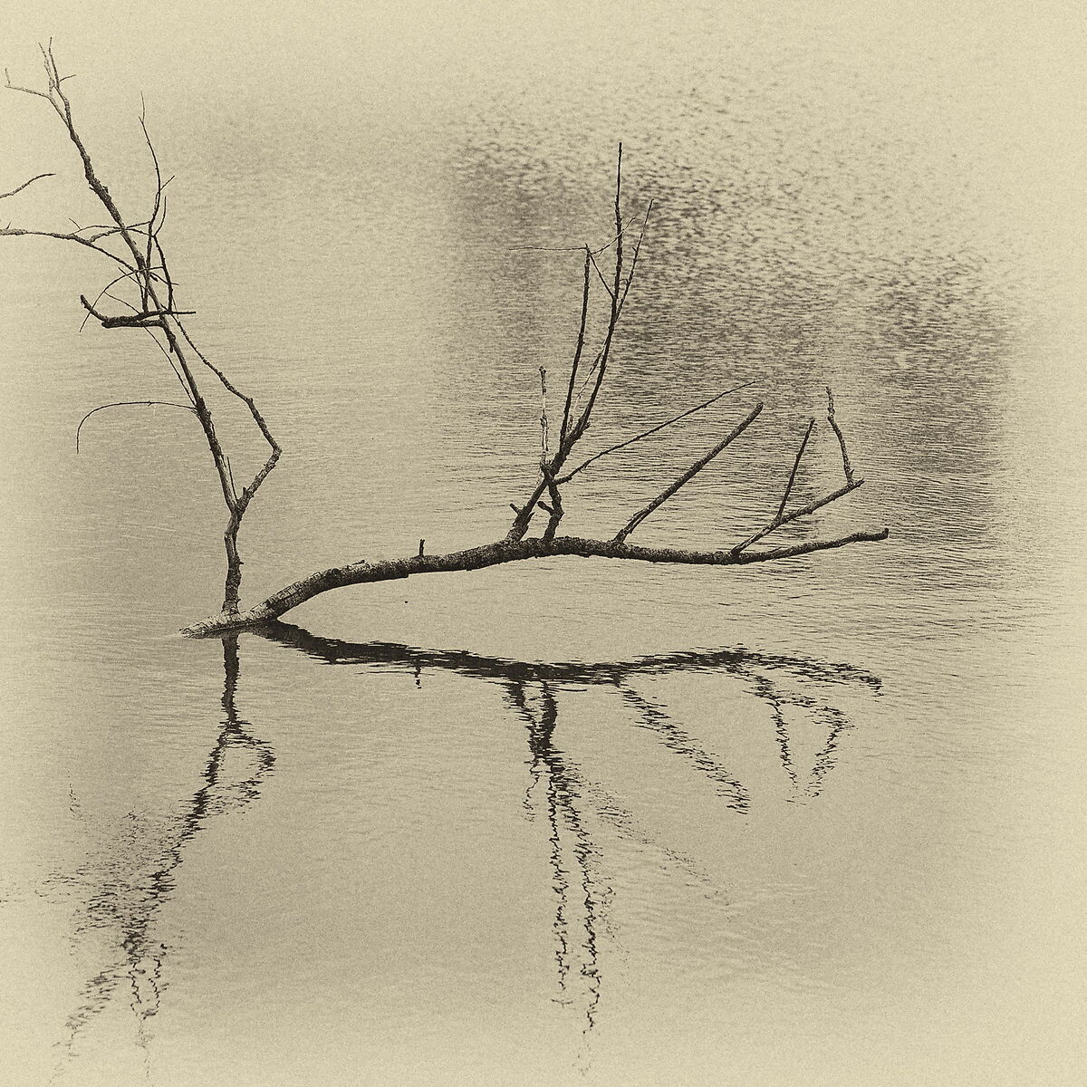 Vallette di Ostellato (Fe)- 30/04/2021