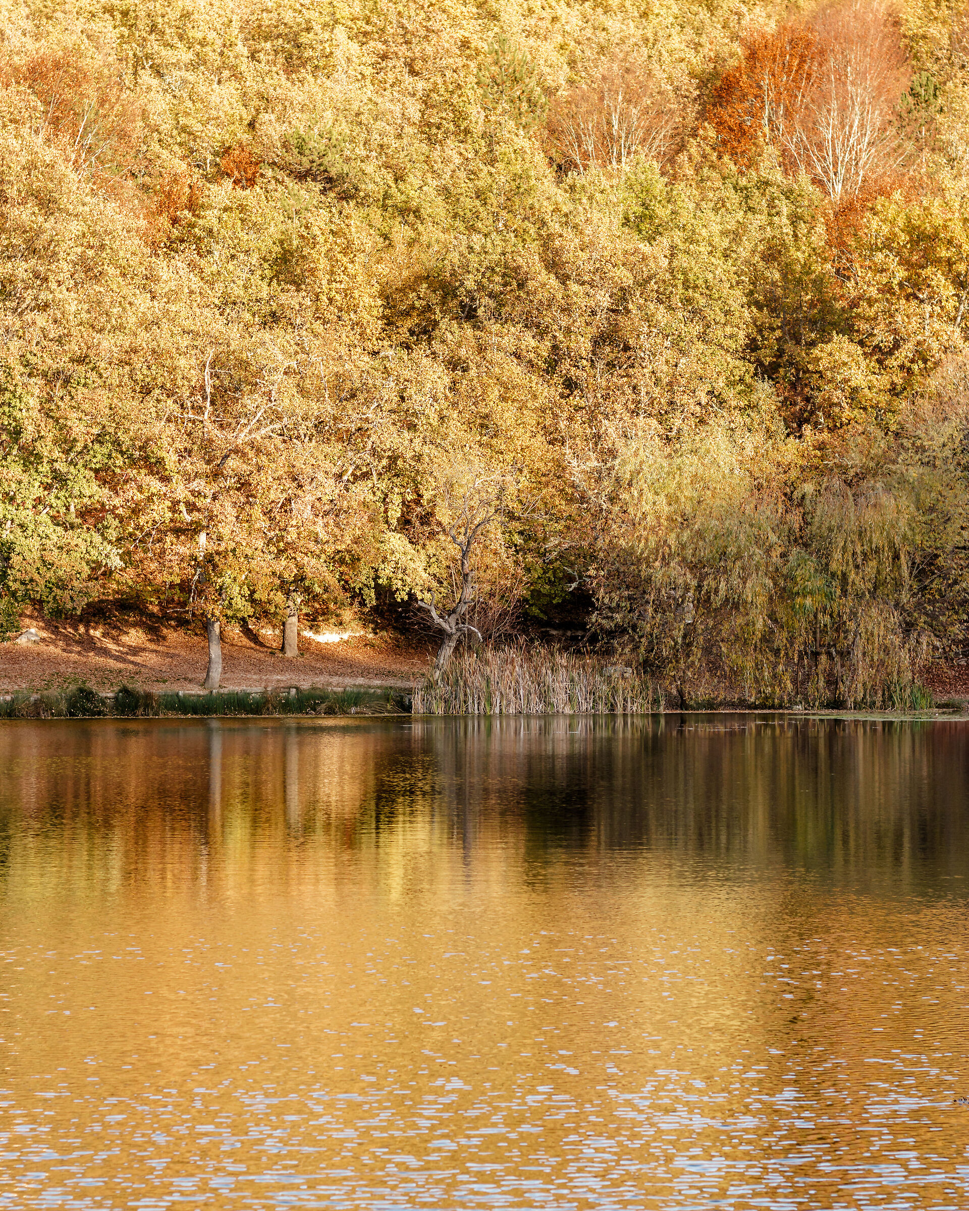 Reflections, Lake Sinizzo