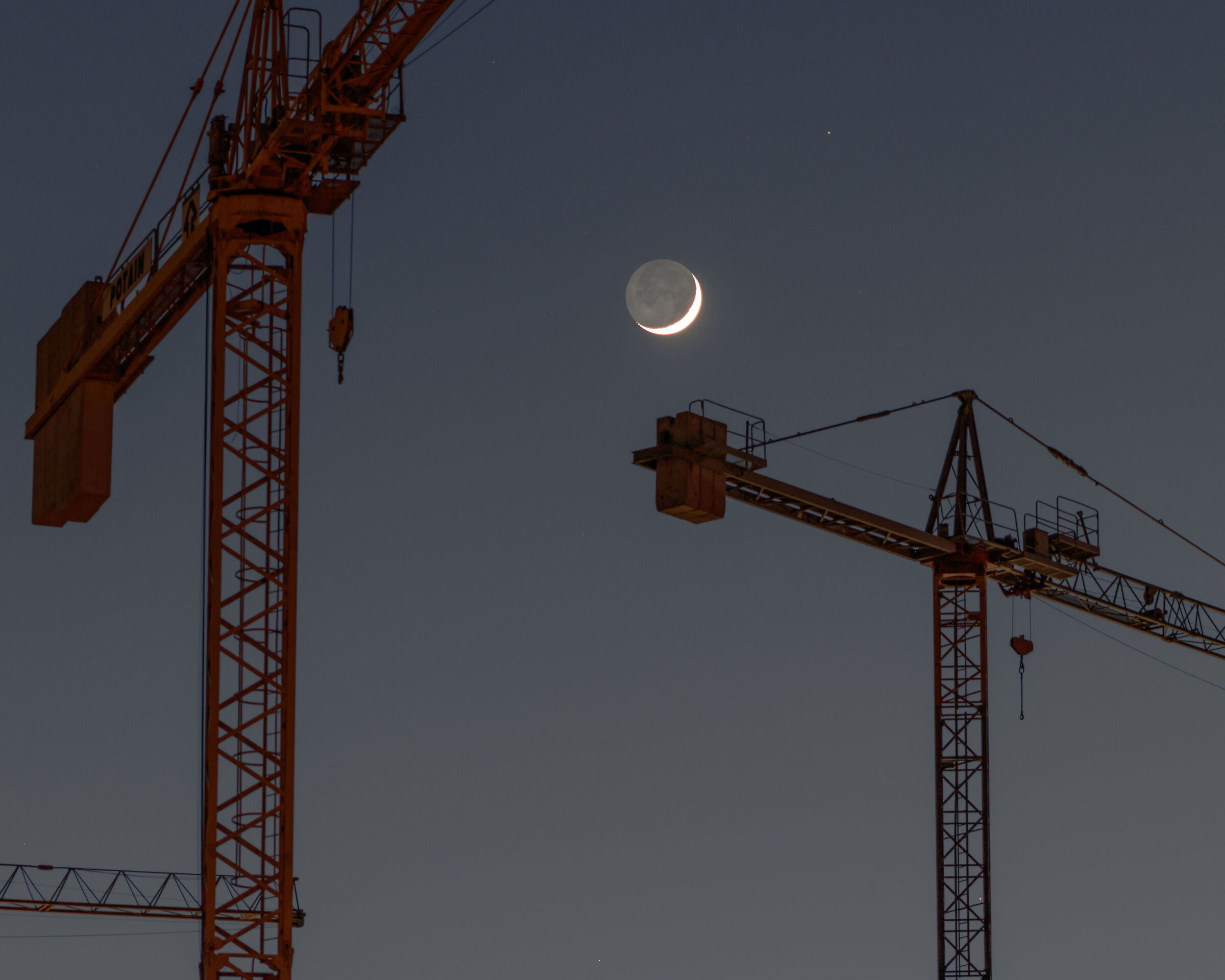 Crane and Moon