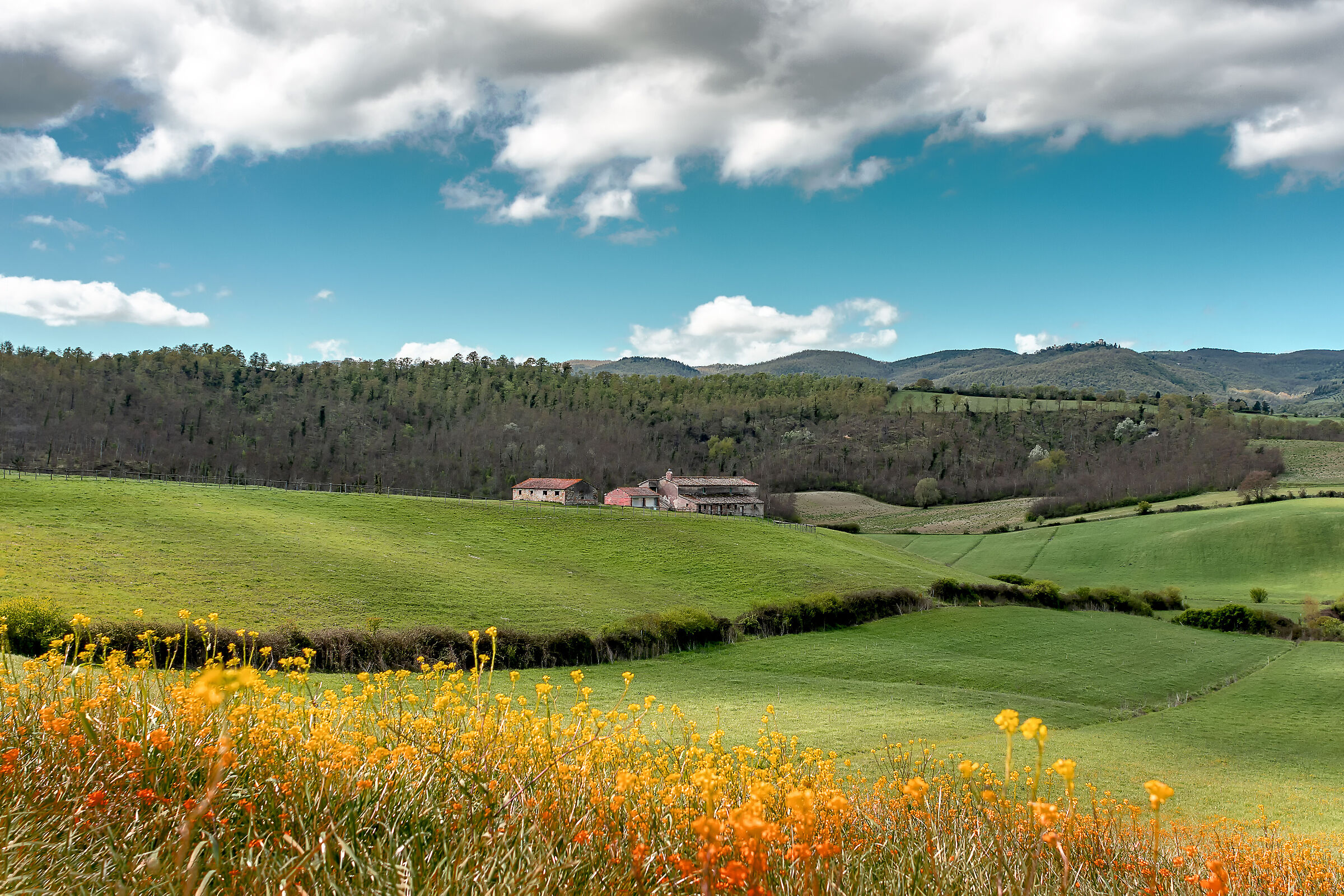 campagna umbra diverse versioni