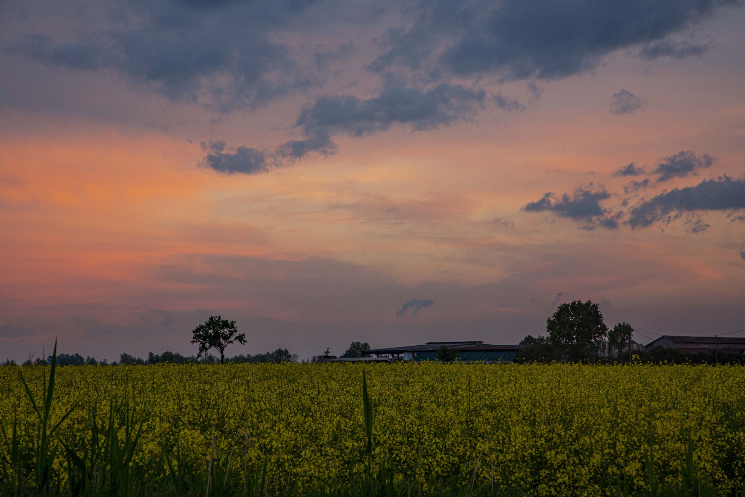 La luce del tramonto sulla campagna