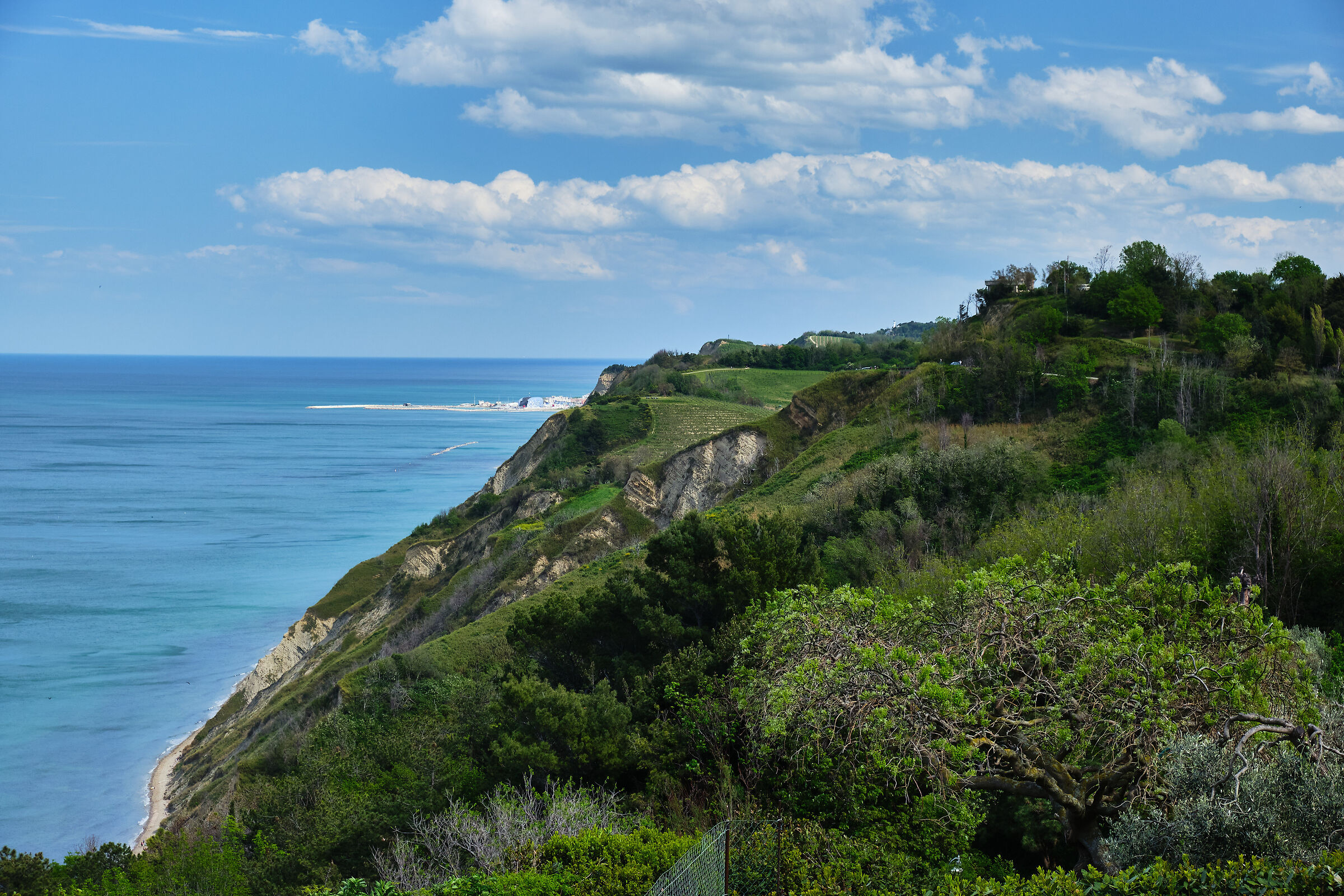 Fiorenzuola di Focara