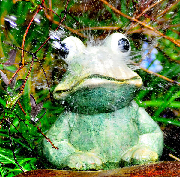 Foto