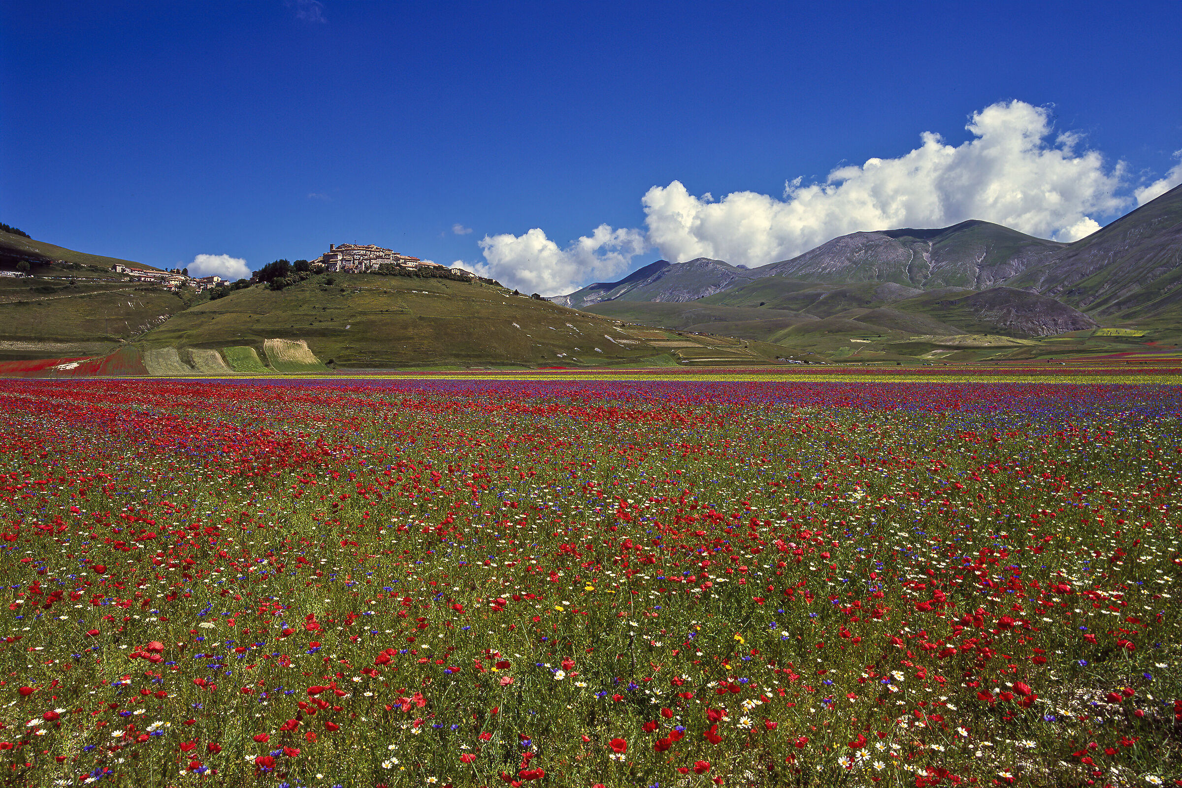 dreaming castelluccio