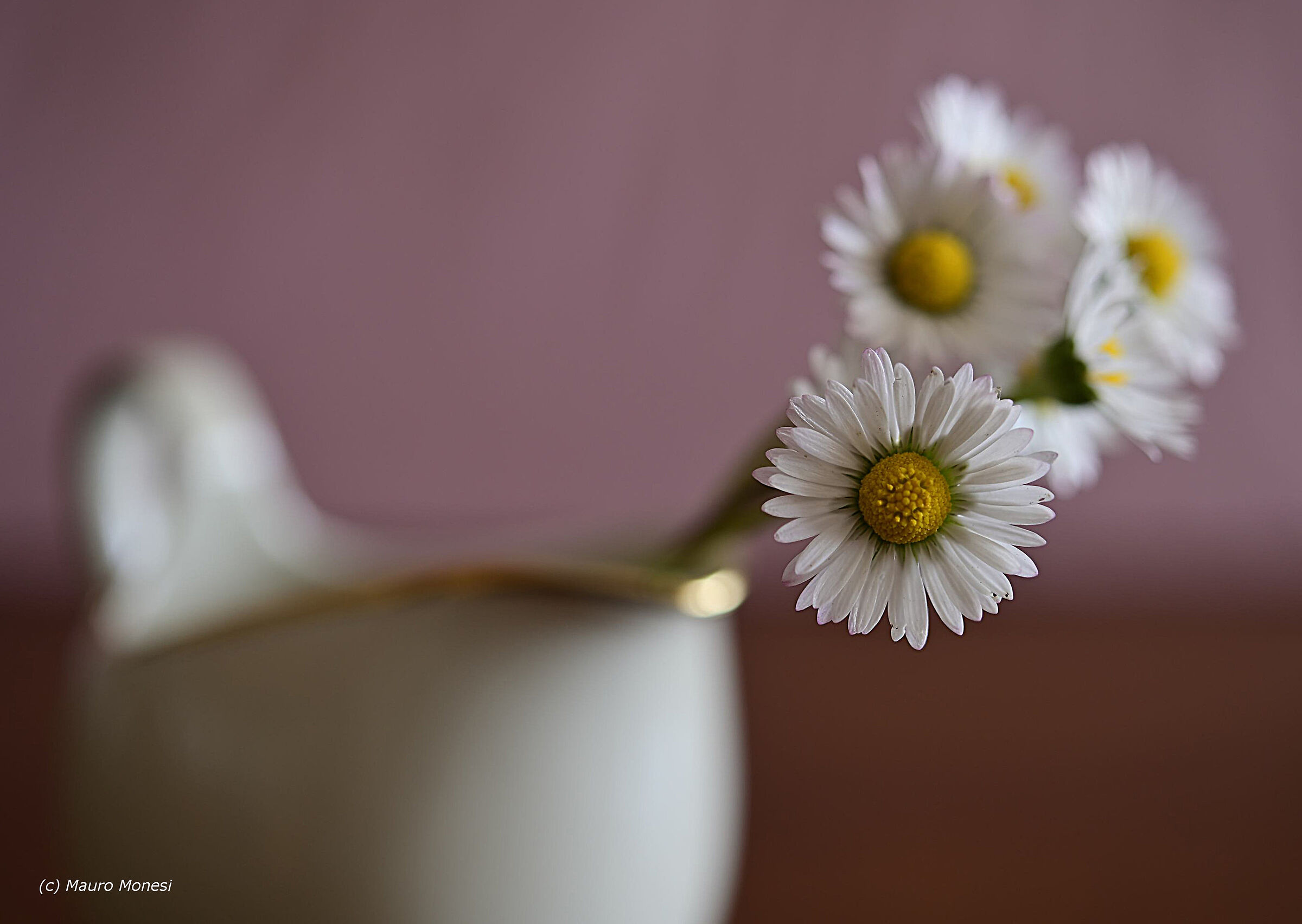 I'm going to spend my time