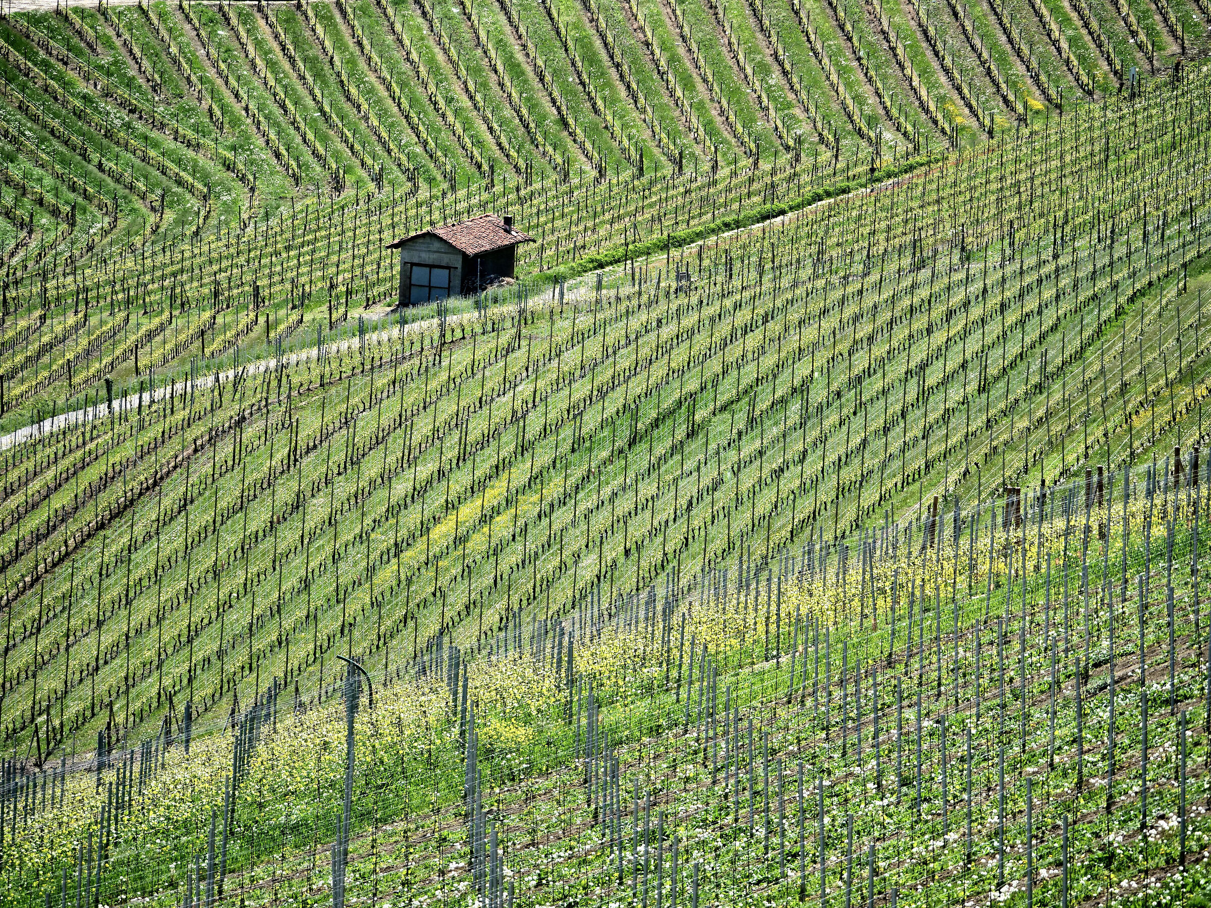 Gaz un pò di pazienzaaaaaaaaa