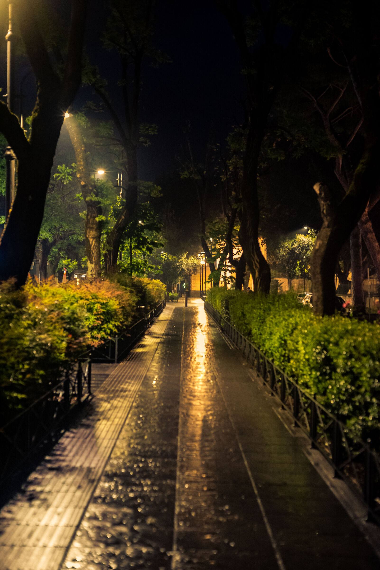 Viale Bruno Buozzi, Monterotondo