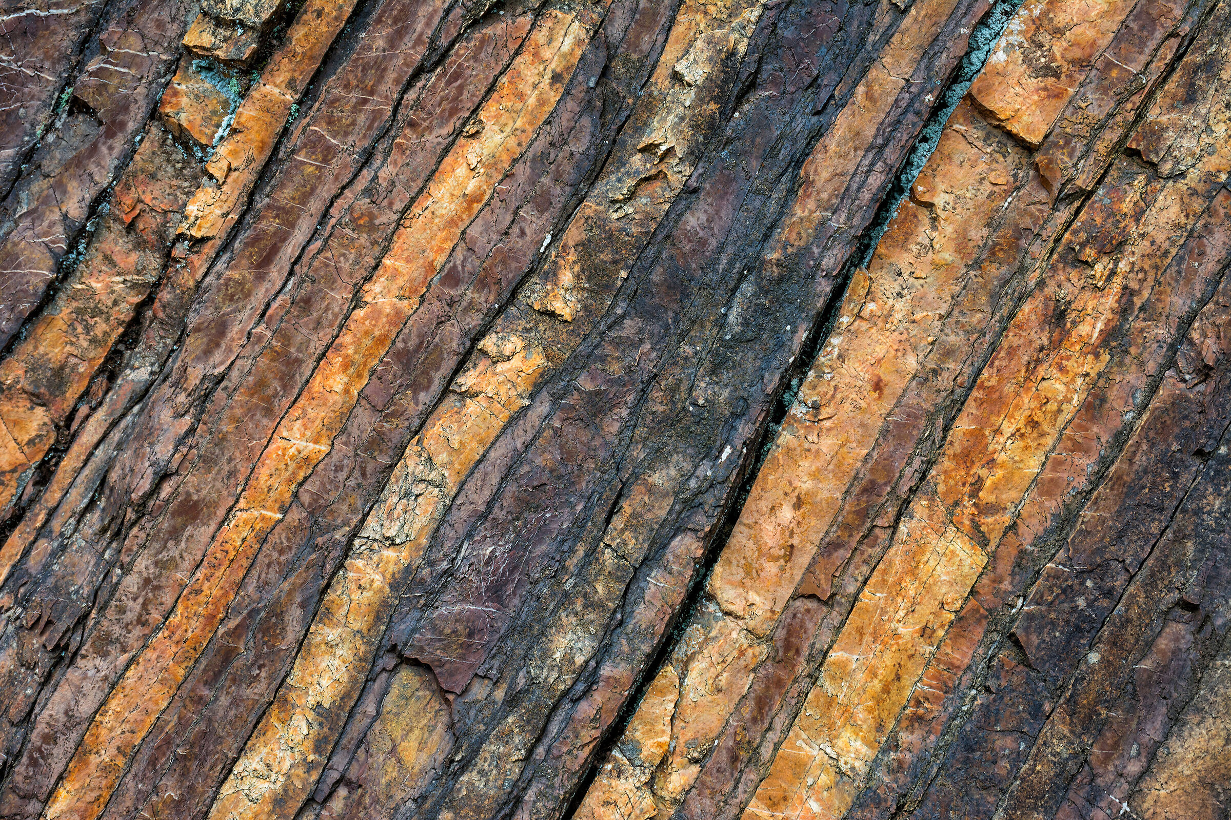 Il libro della Terra