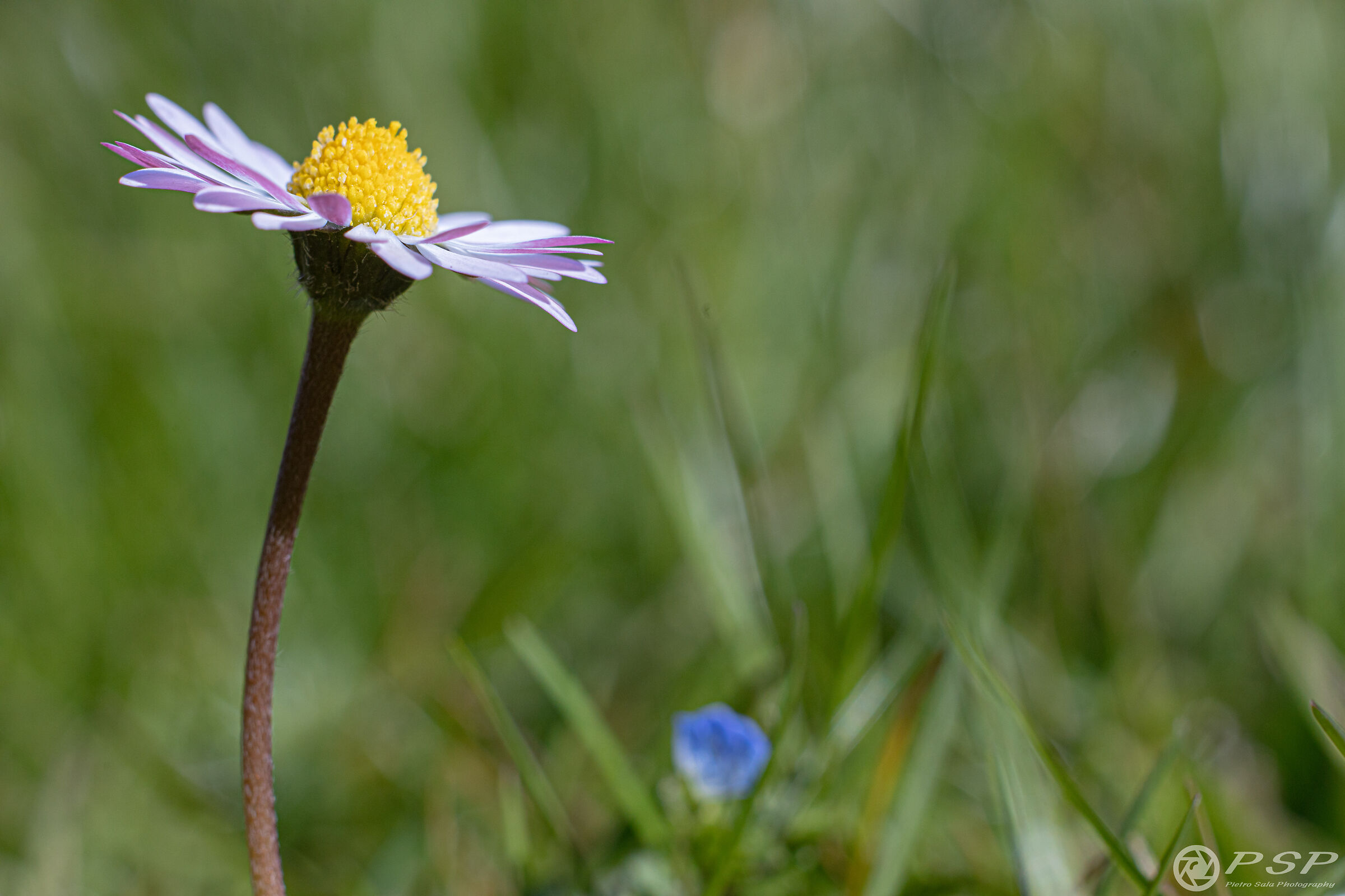 Vertical development