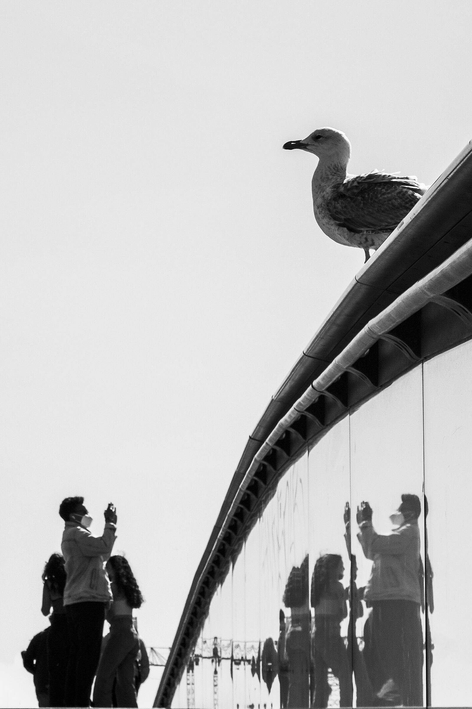 Riflessi su Calatrava