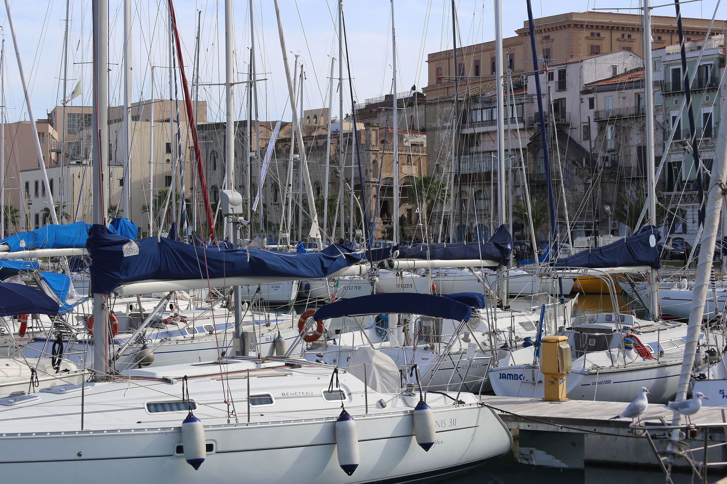 Canon 70-300 DO IS usm, 6 D