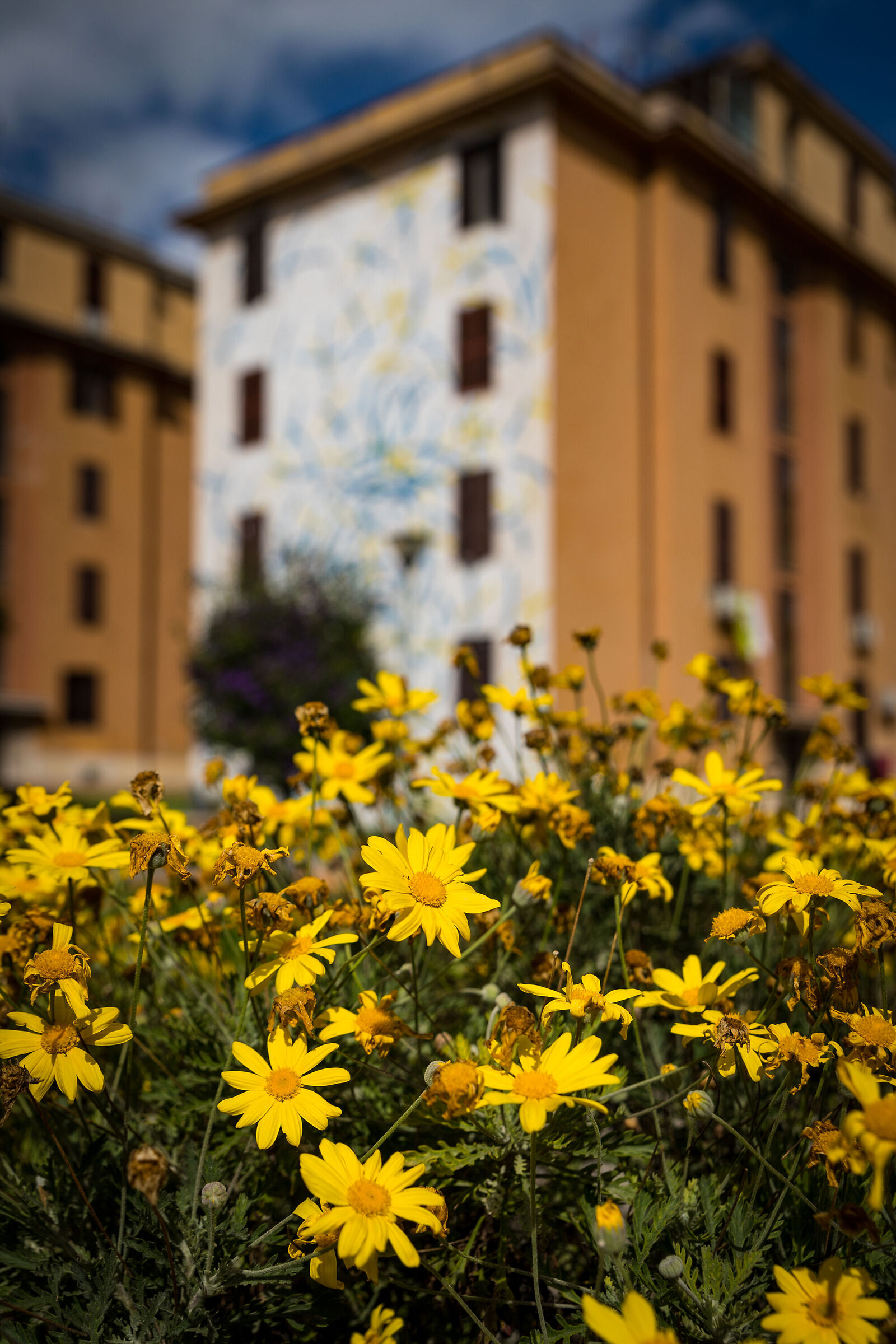 Tor Marancia - The Big City Life Project #007