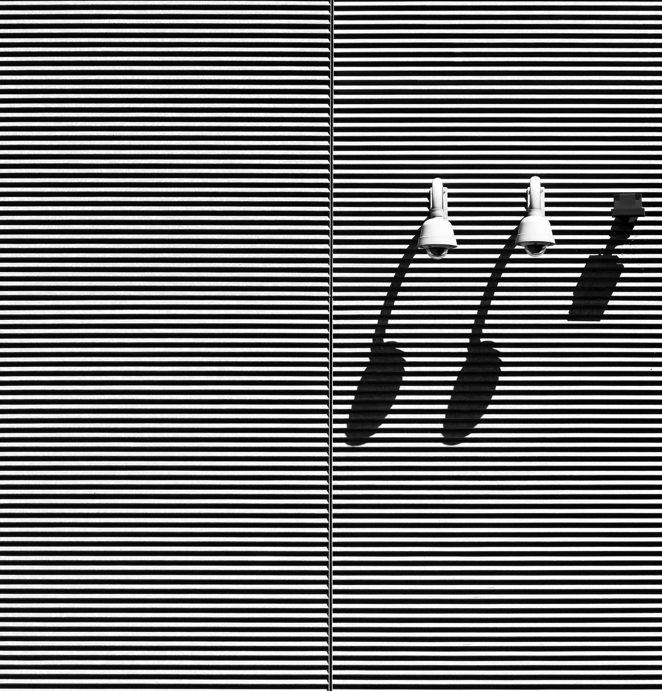 papà pomodoro, mamma pomodoro e pomodorino