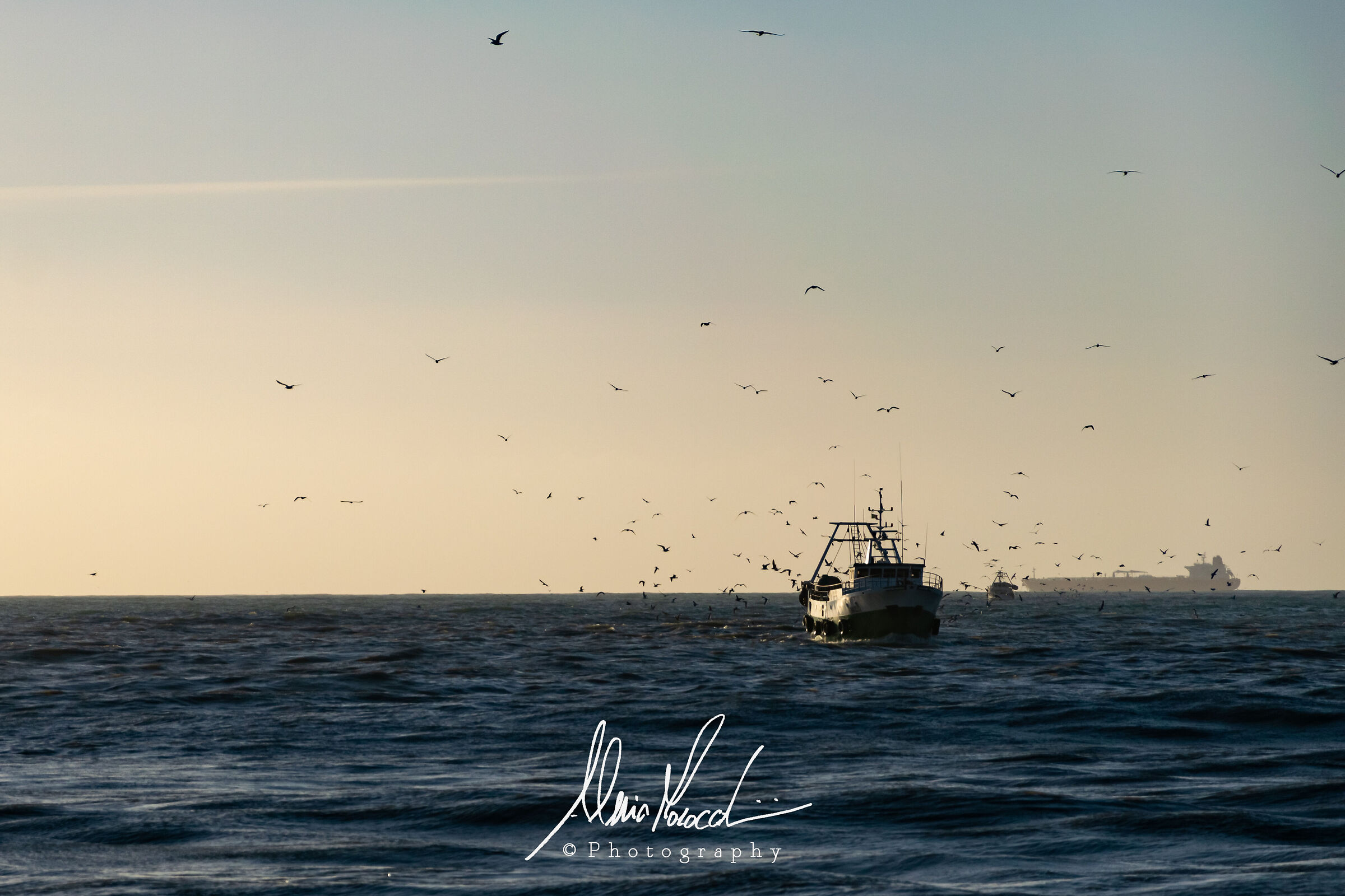 Fiumicino "Rientro dei pescatori"