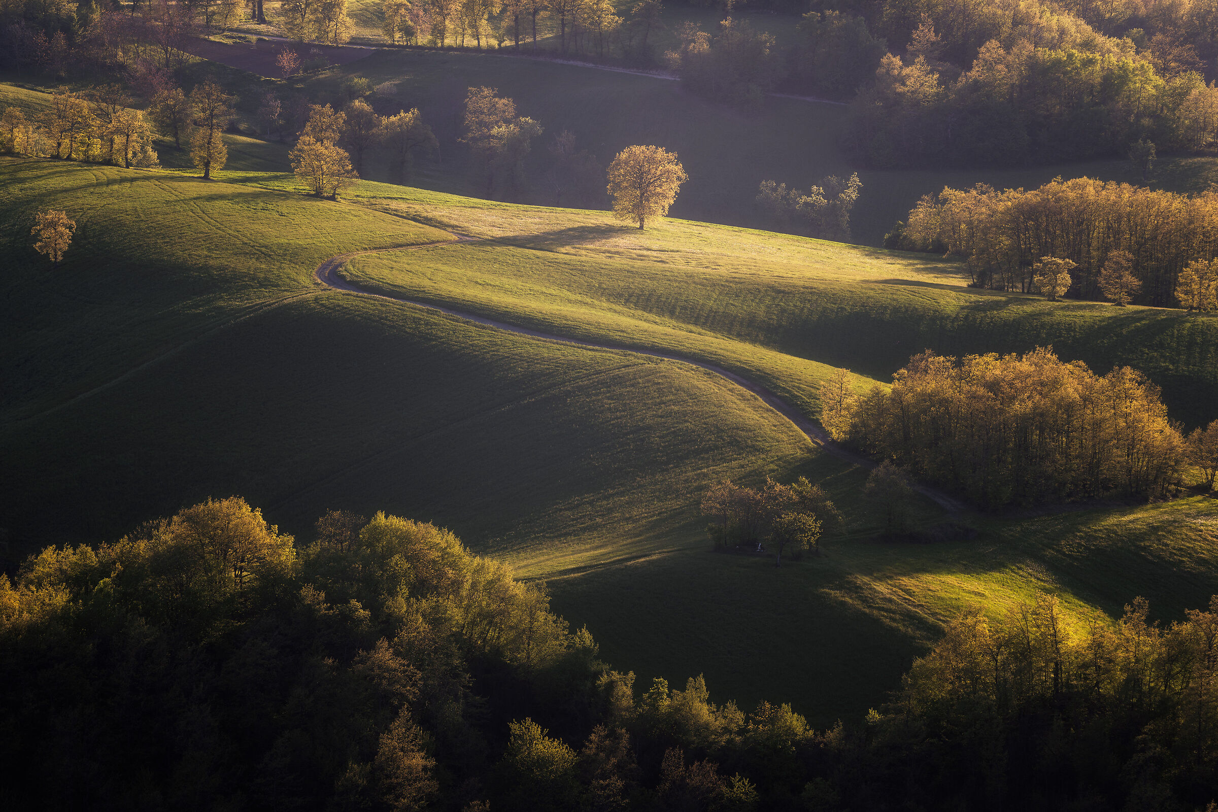Colline reggiane