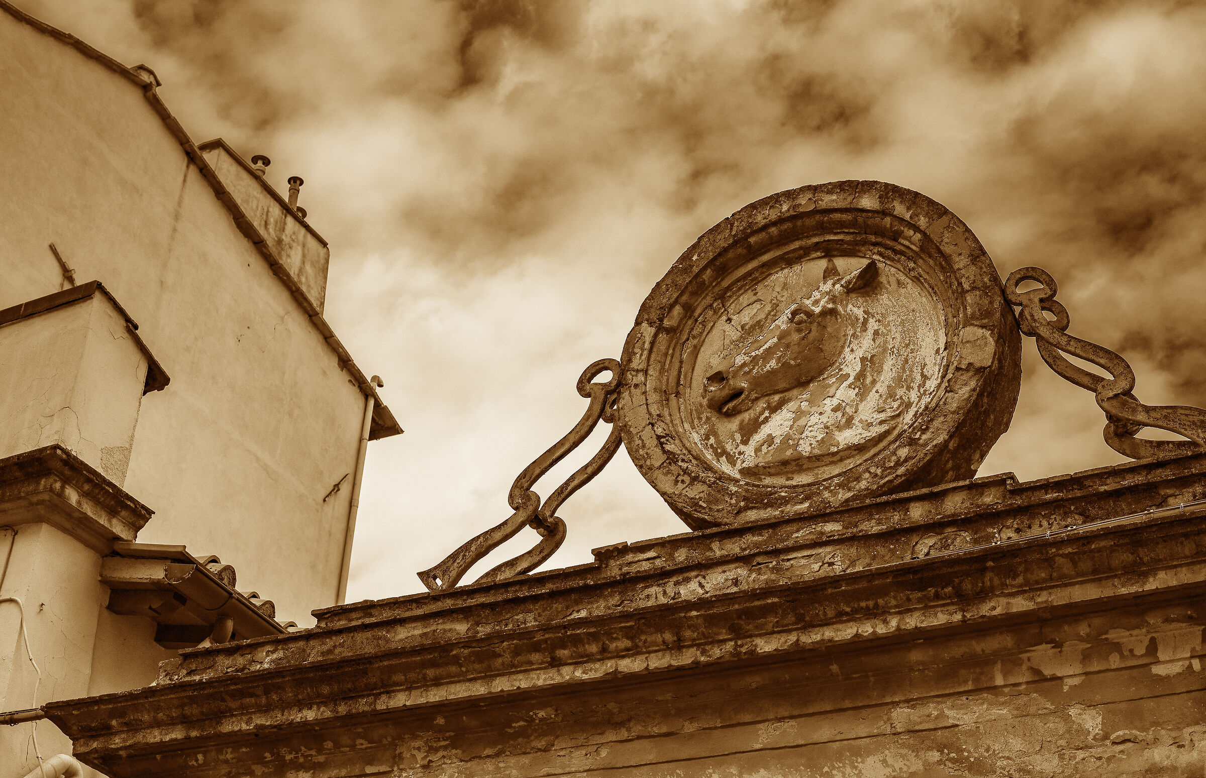 Il cavallo vincente