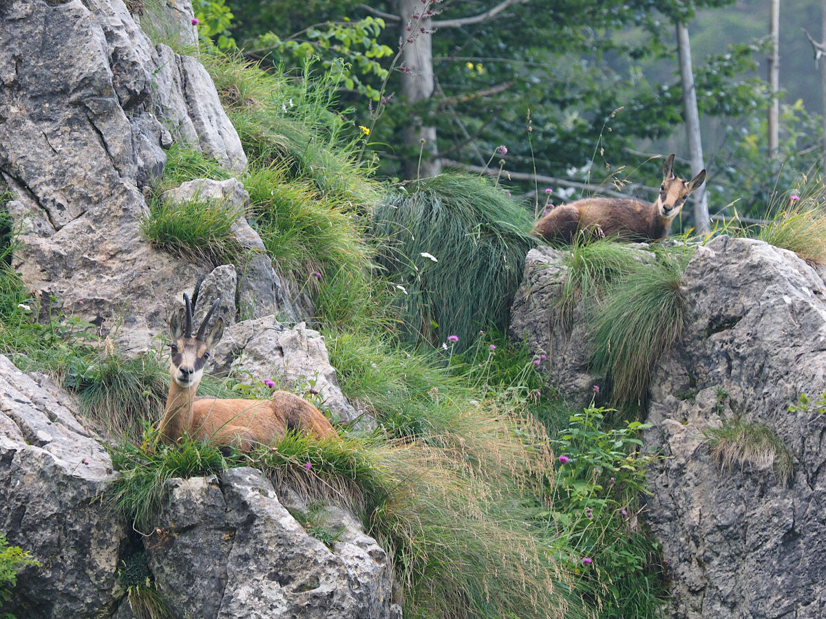 Quadretto famigliare