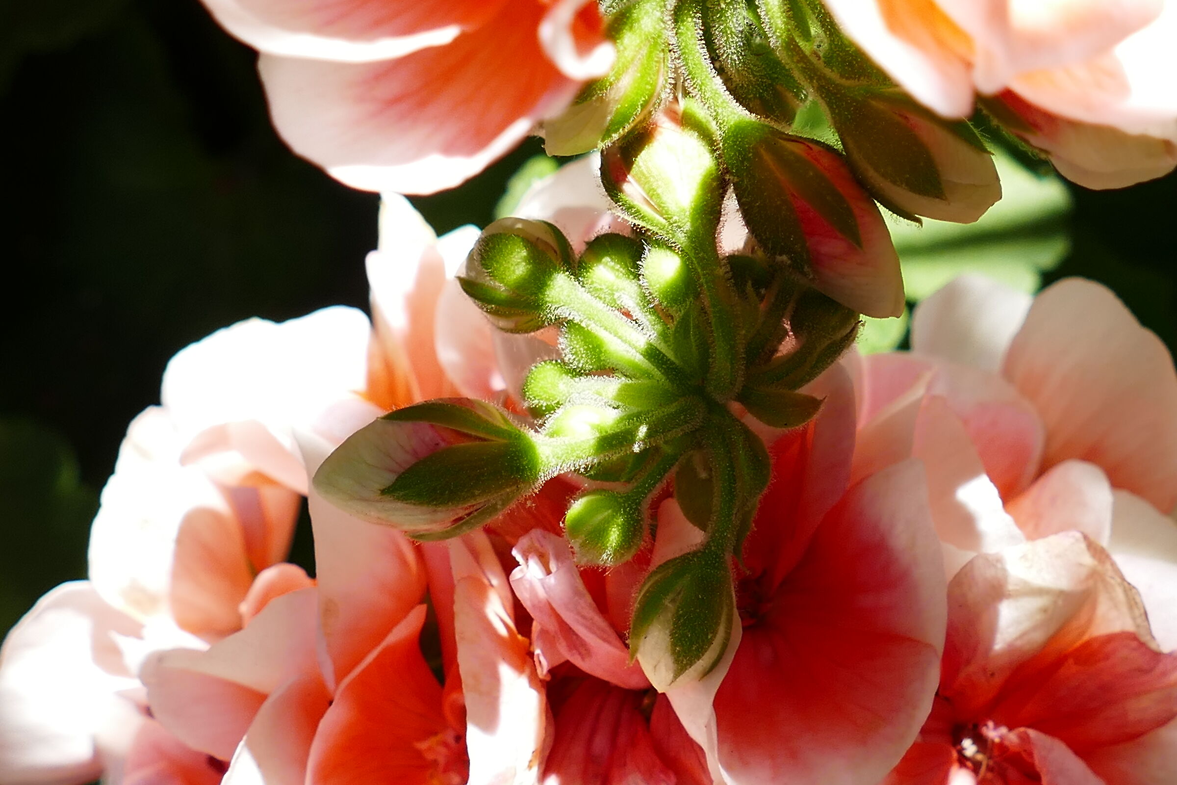 Un tocco di primavera!