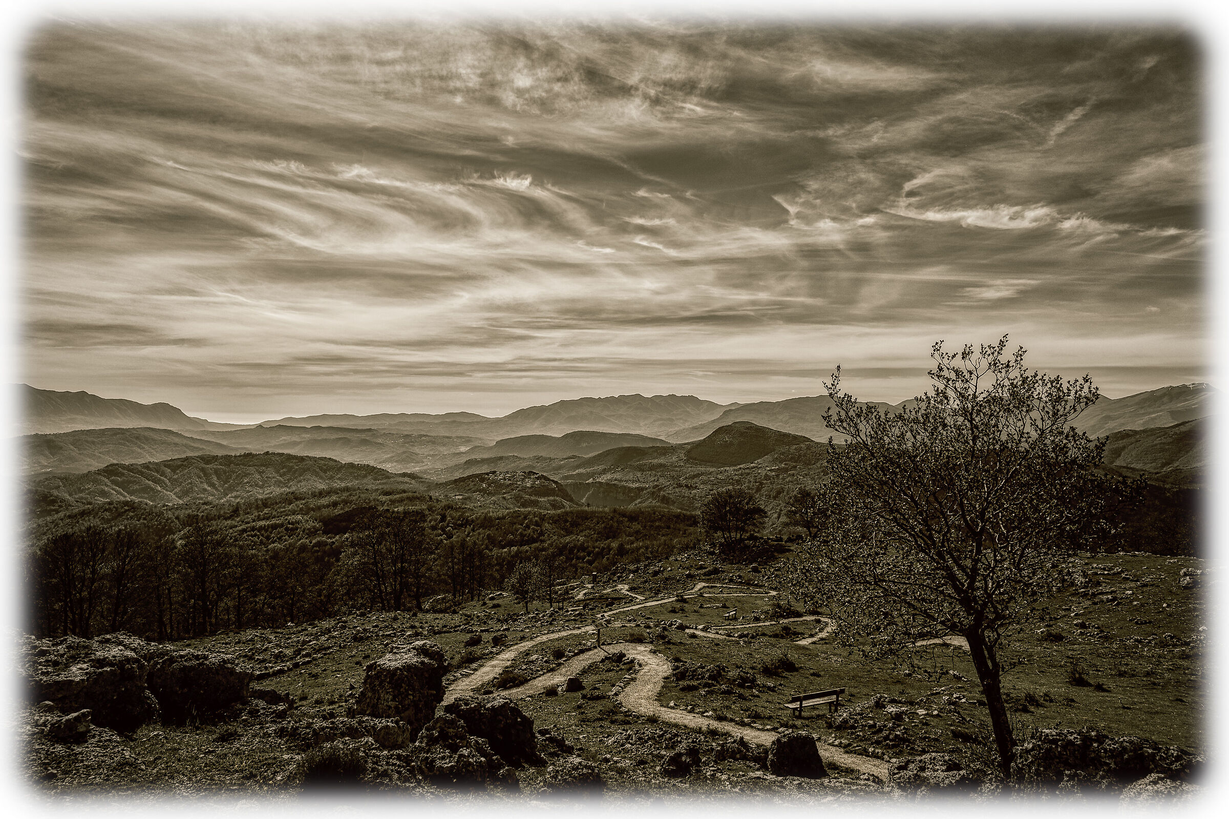 Untitled Photo