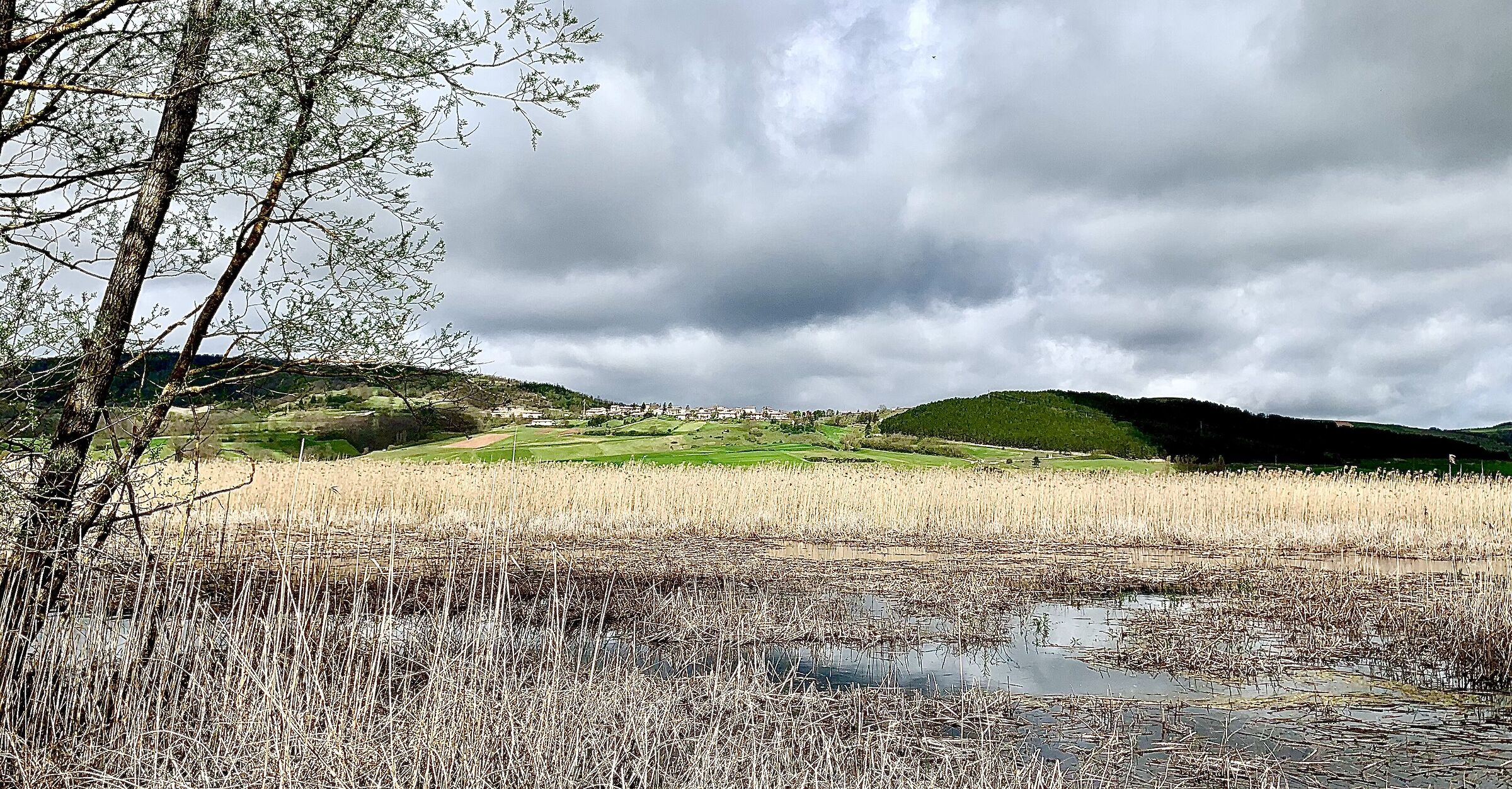 La palude di Colfiorito