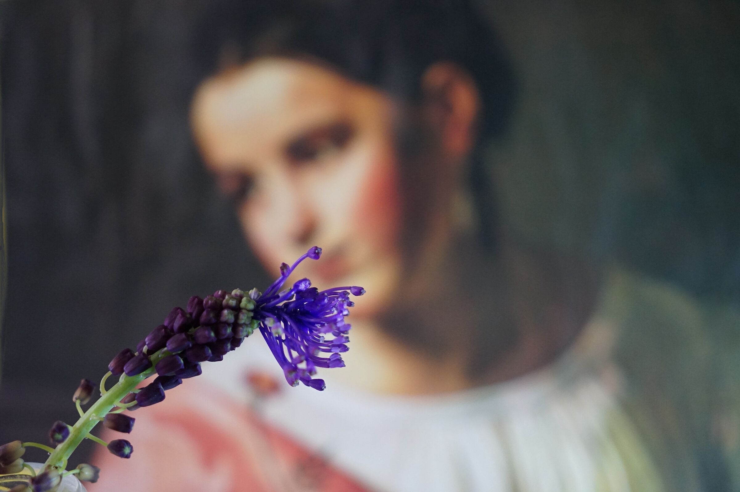 Effetto viola
