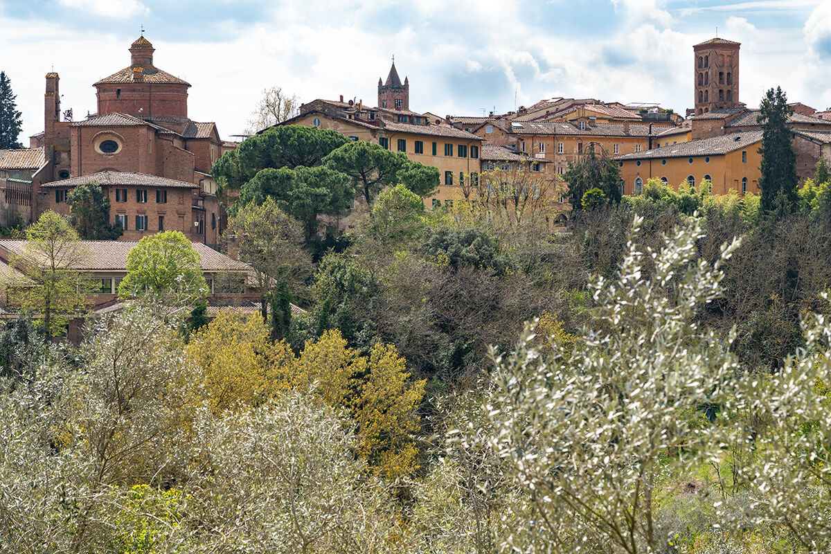Primavera a Siena centro.