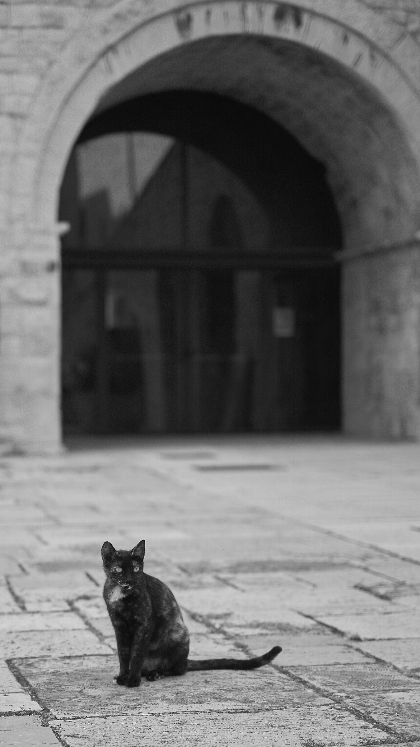 Il guardiano del castello