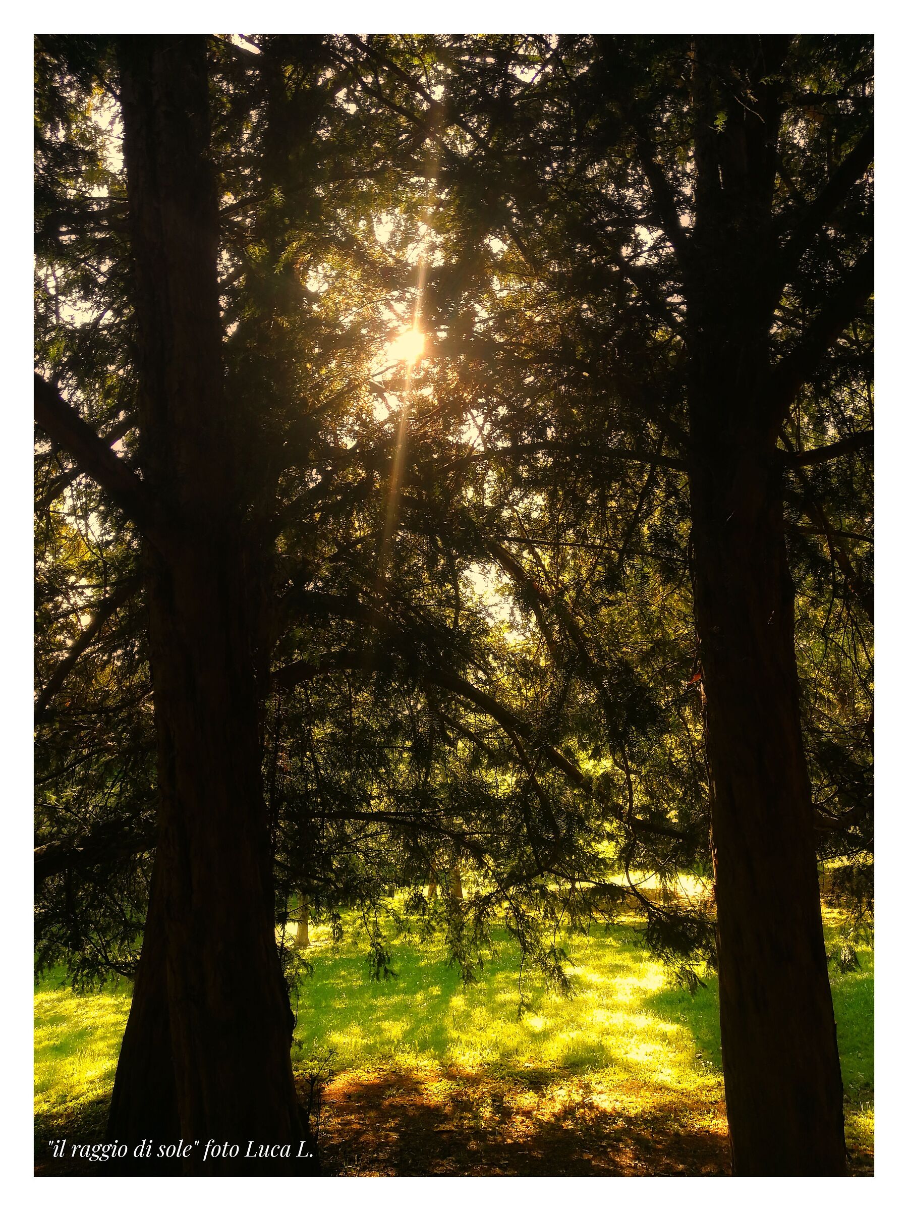 Il raggio di sole