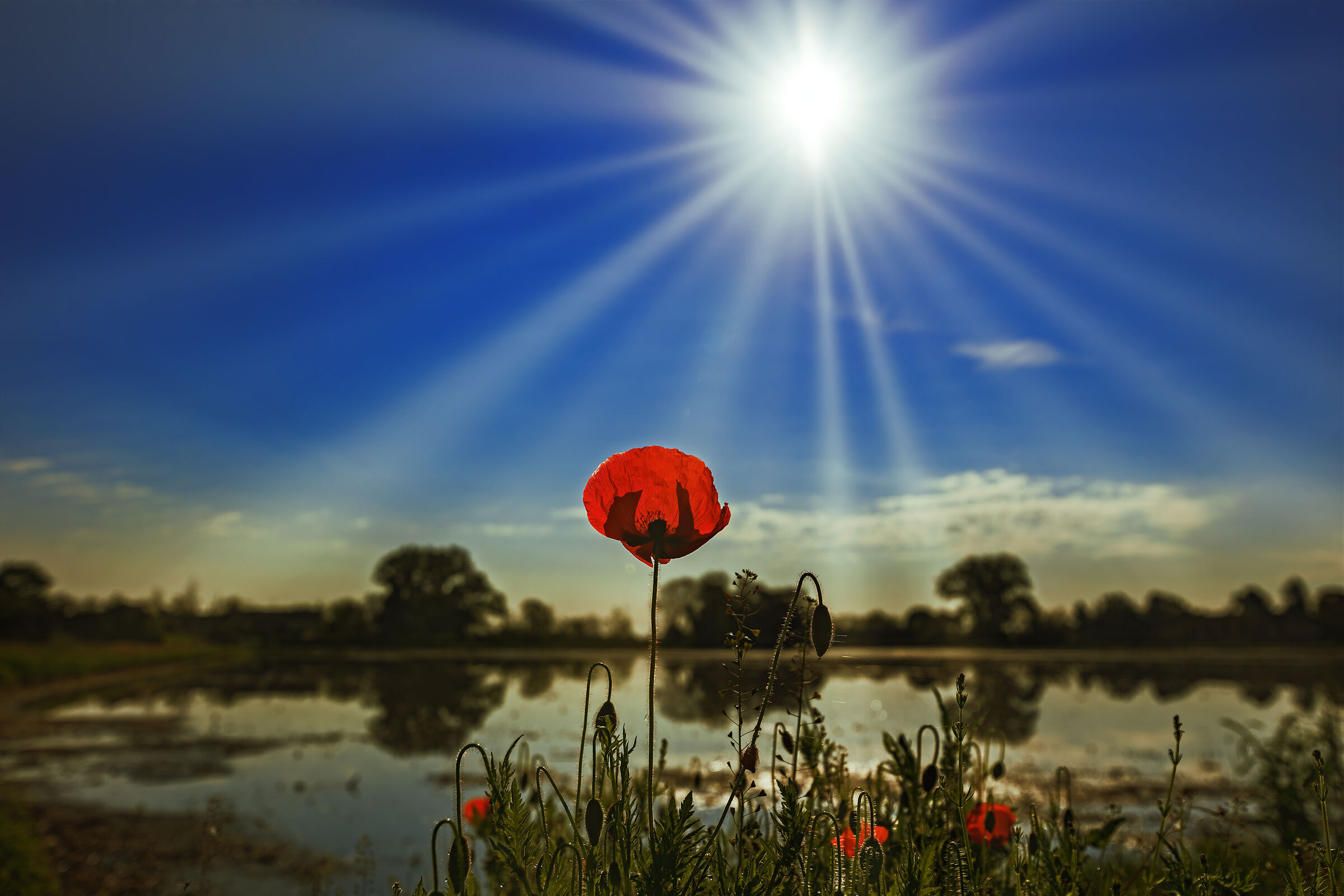 Il sole bacia i belli
