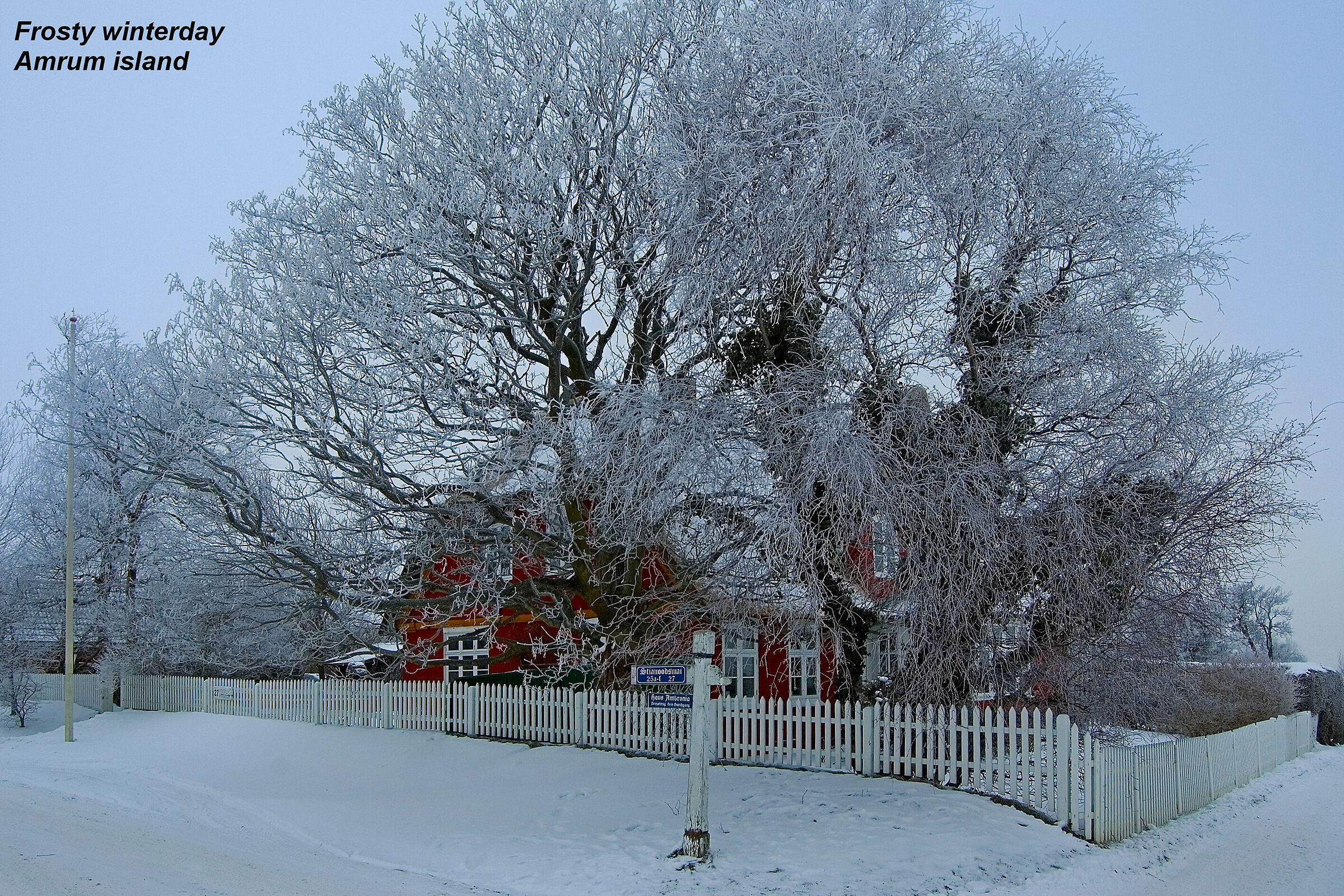 A frosty day