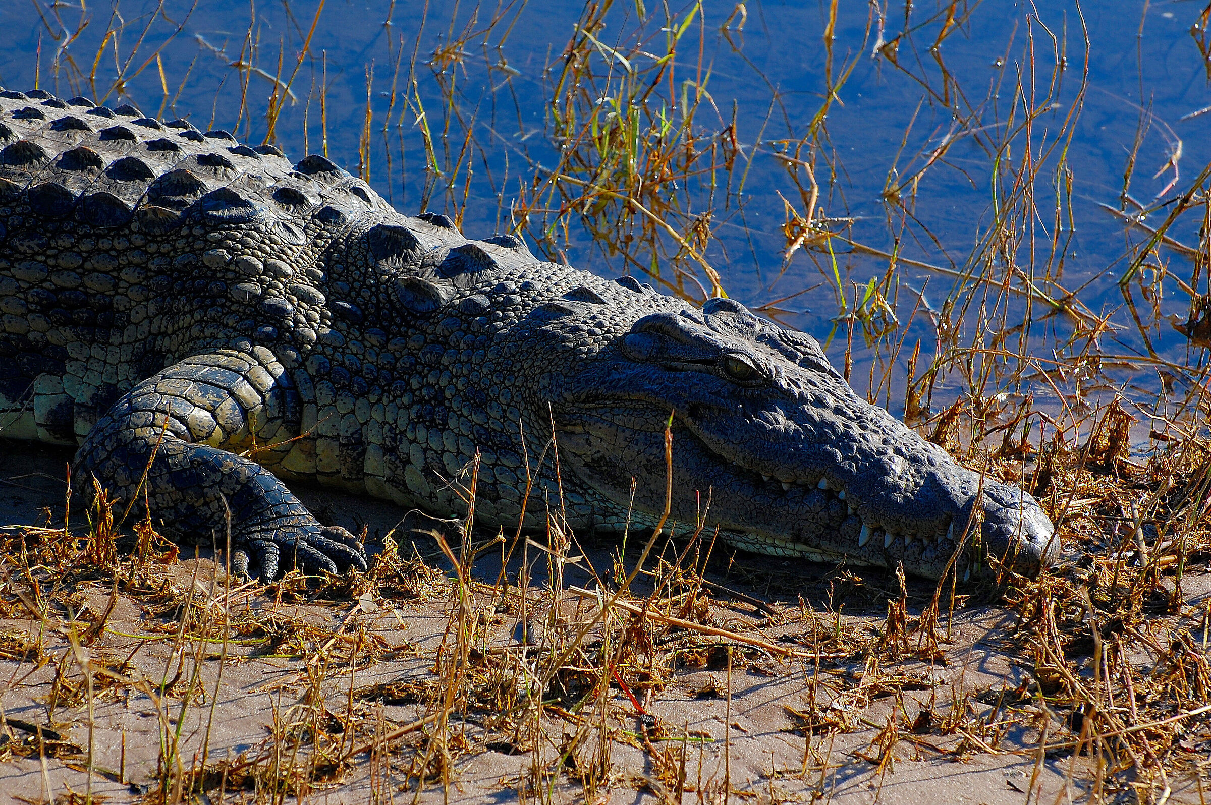 Botswana: primordial charm