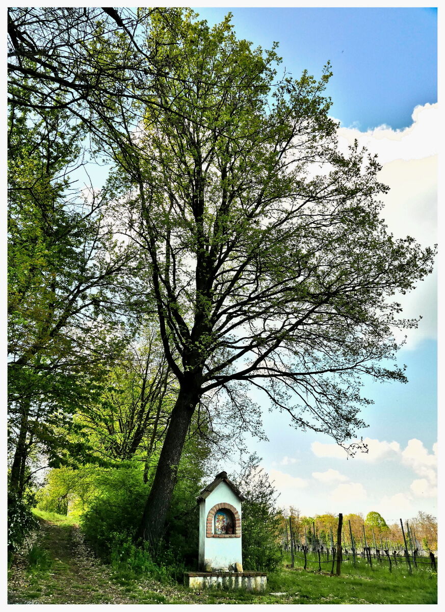 Votive newsstand dedicated to St. John the Baptist