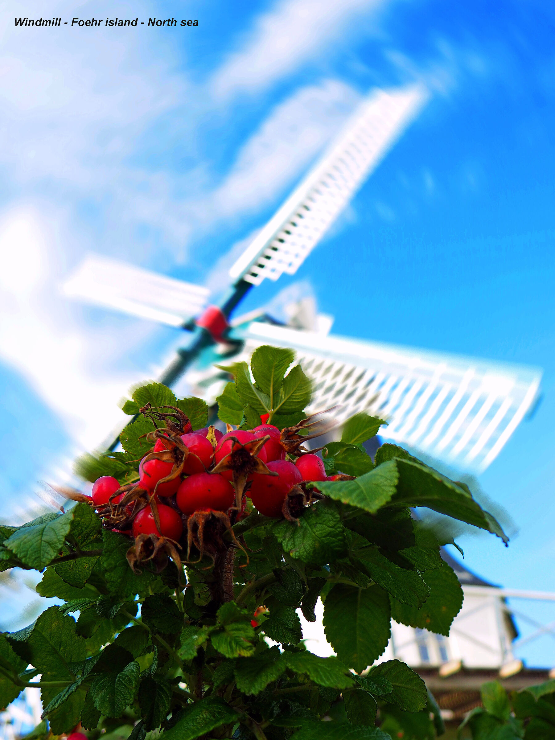 Windmill at blue sky