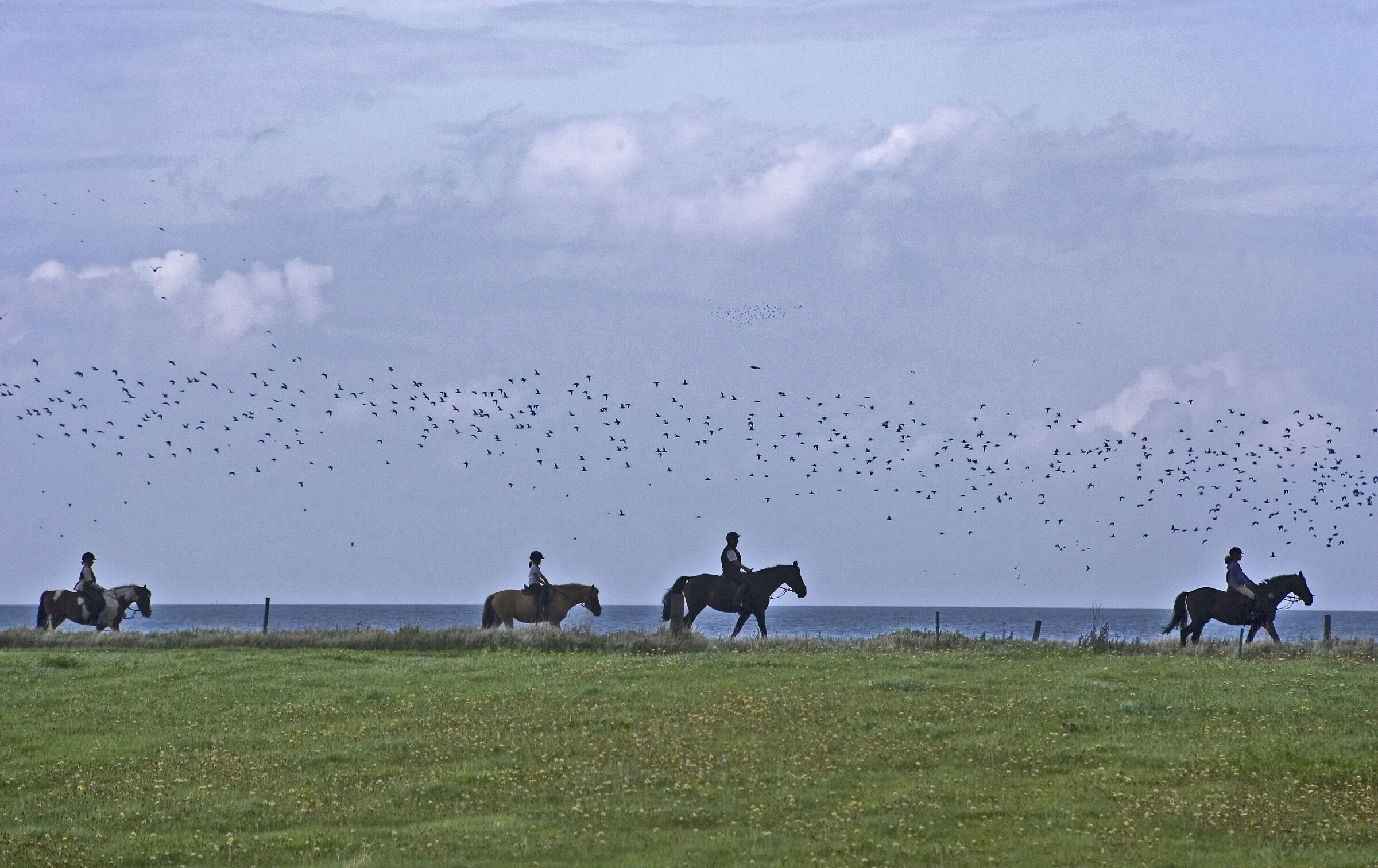 Leisurely ride