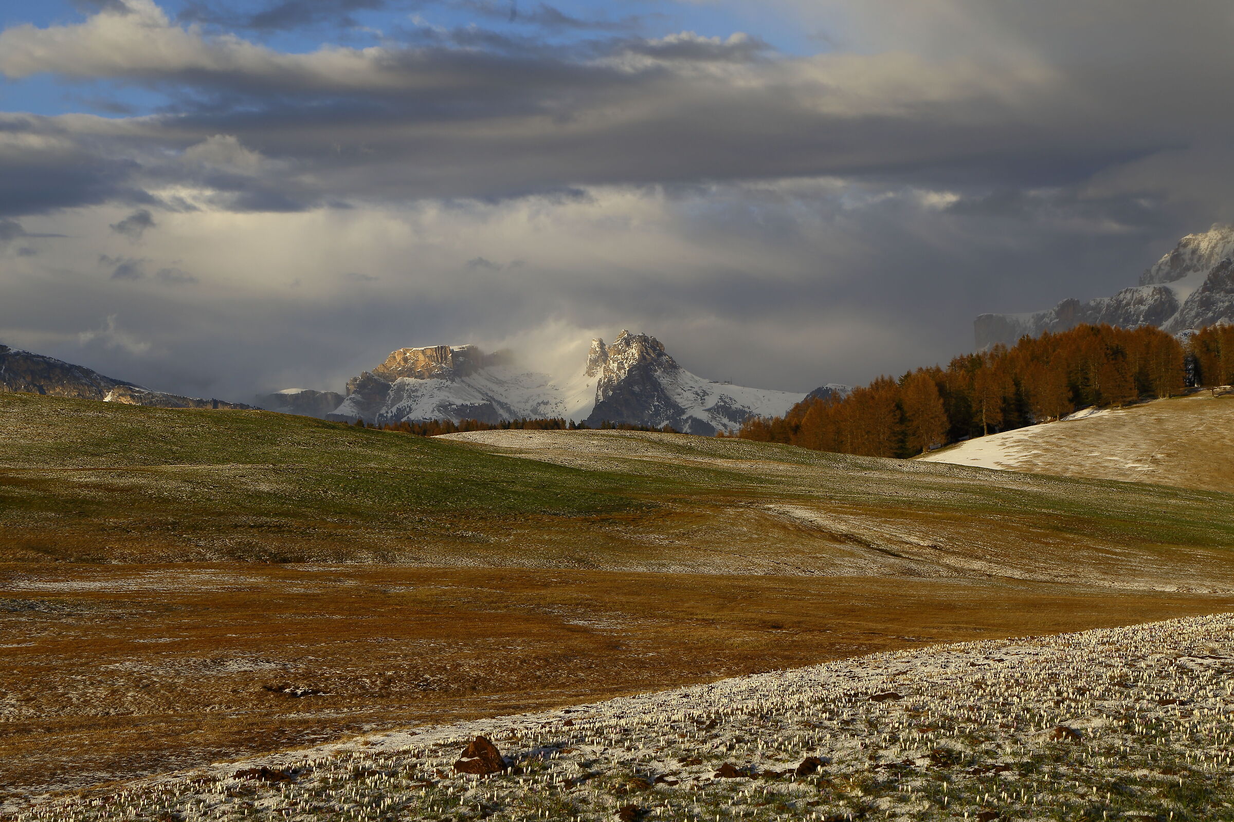 Sunset at the Alp of Siusi