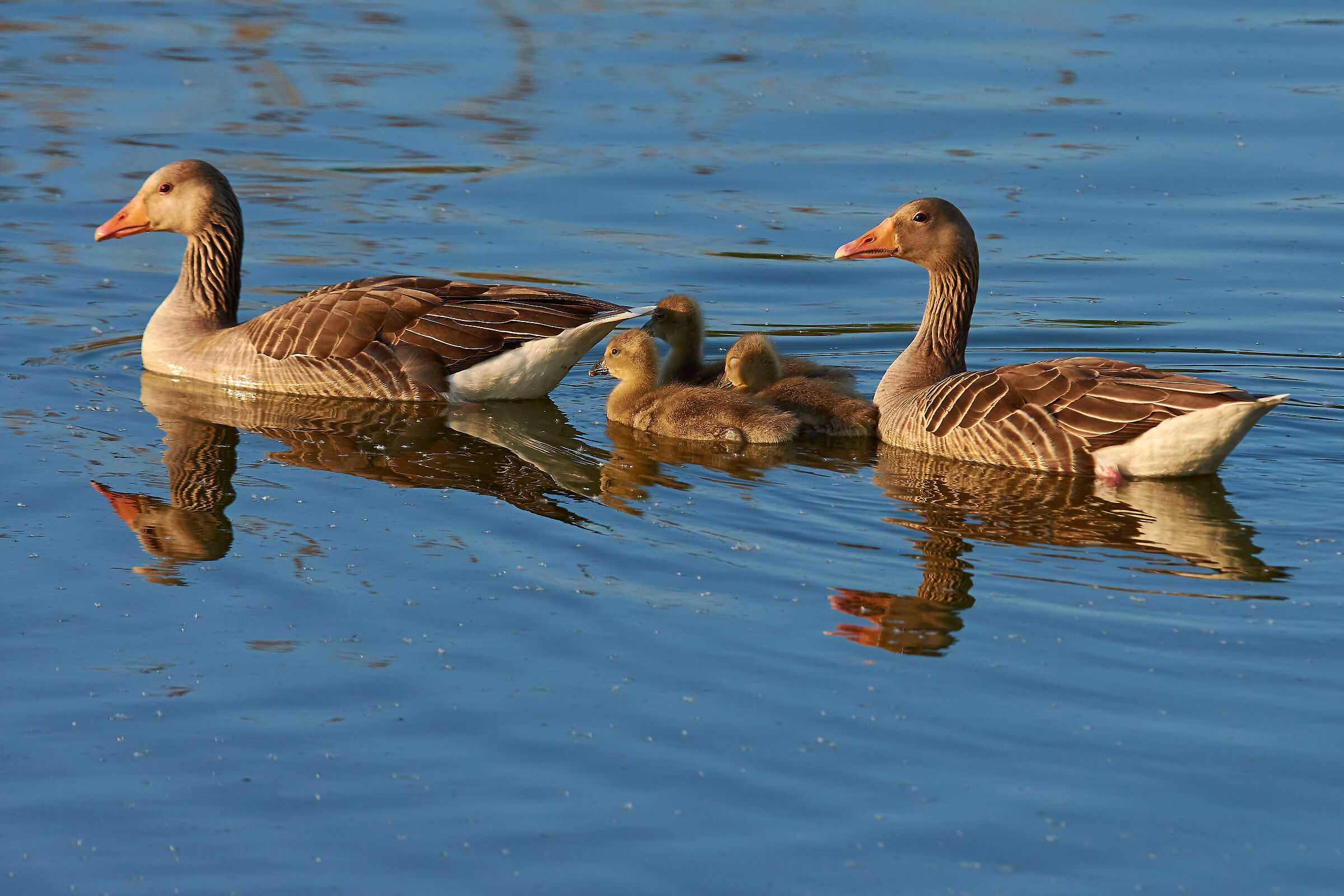 Ritratto di Famiglia