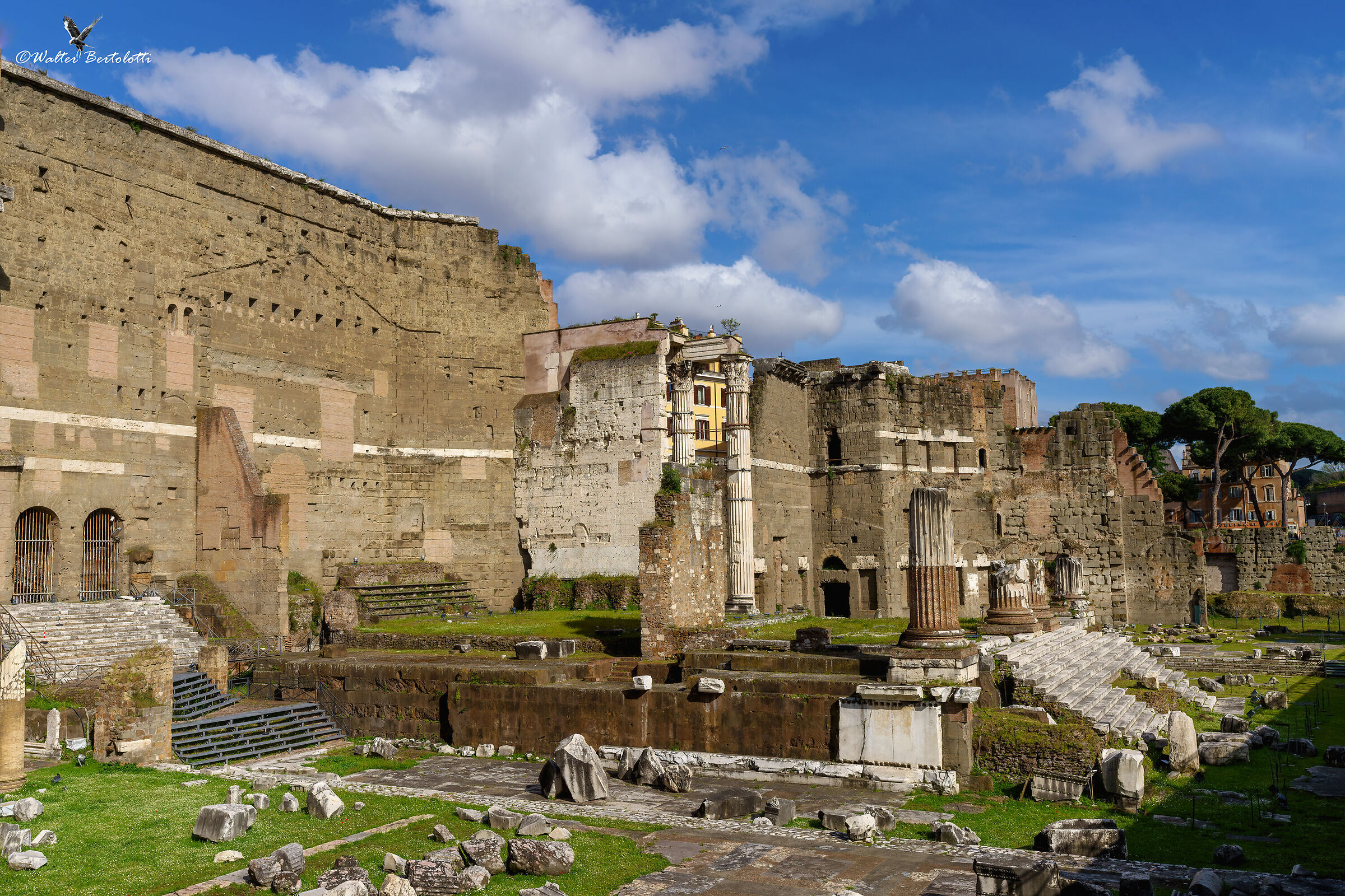 uno sguardo sul Foro