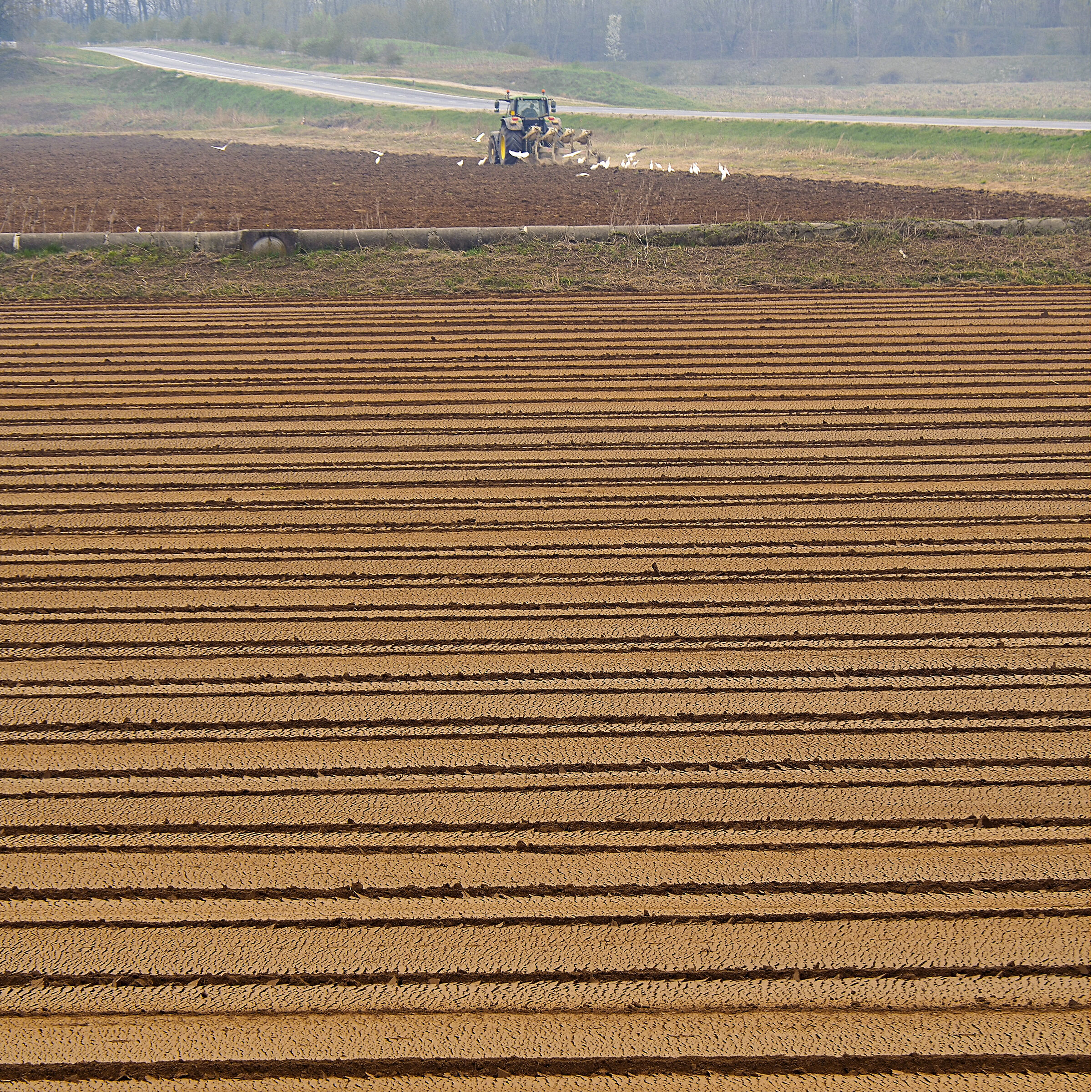 agricultural geometries