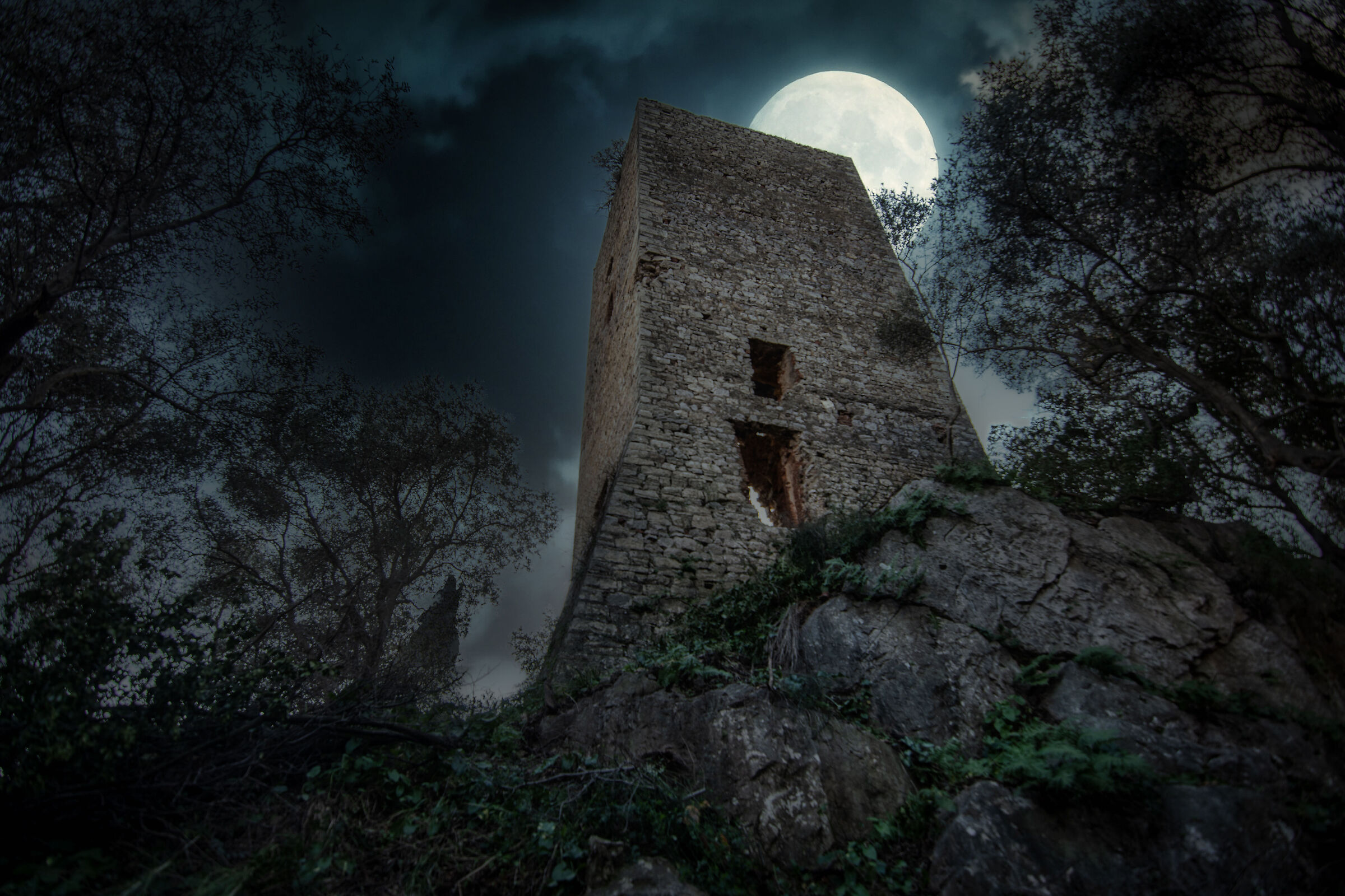 Notte da lupo mannaro