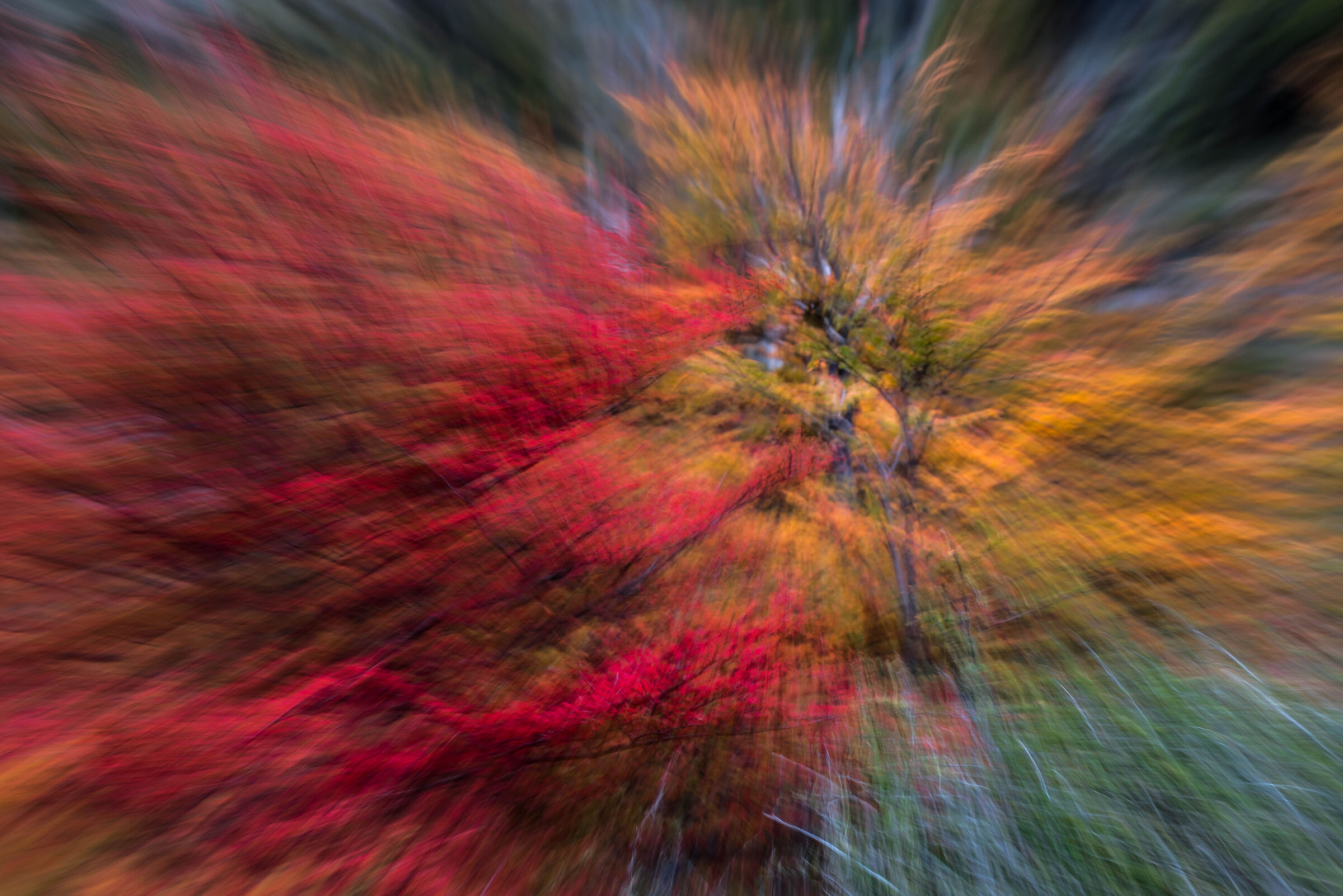 Esplosione d'autunno