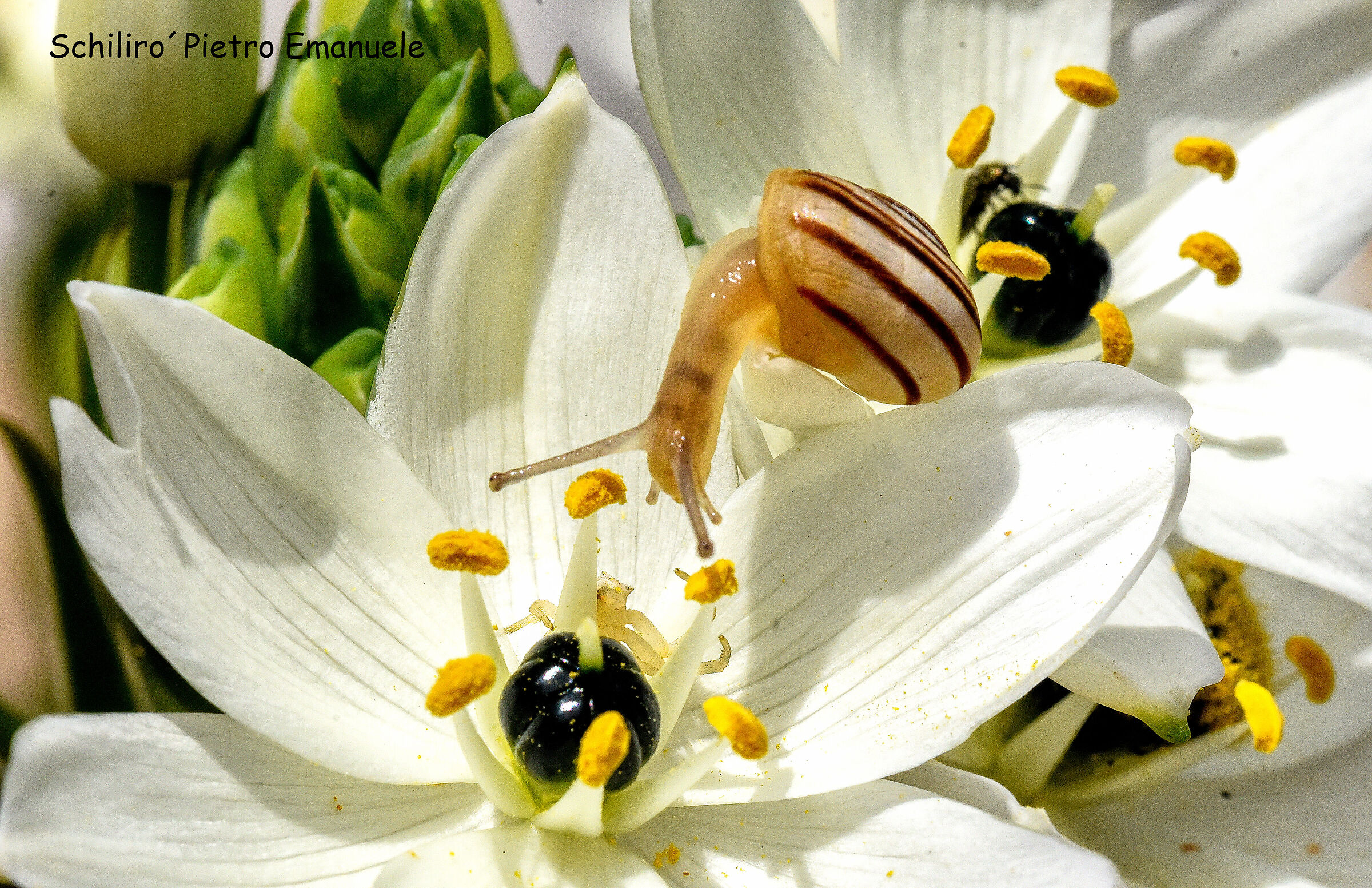 Mi fermo un attimo e mi guardo attorno...