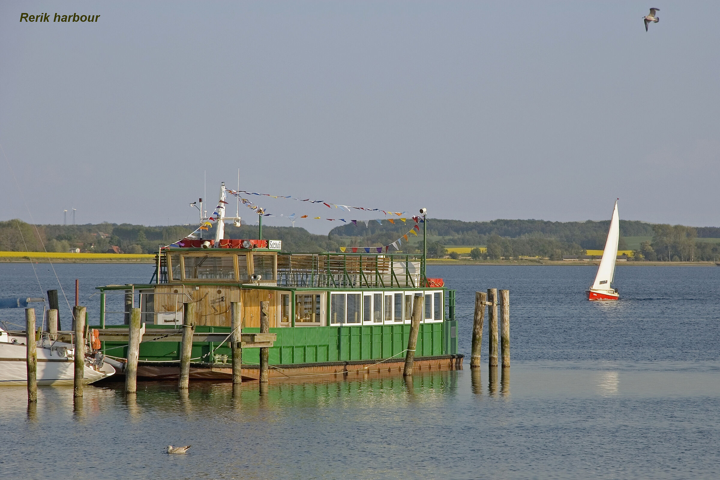 Rerik harbour
