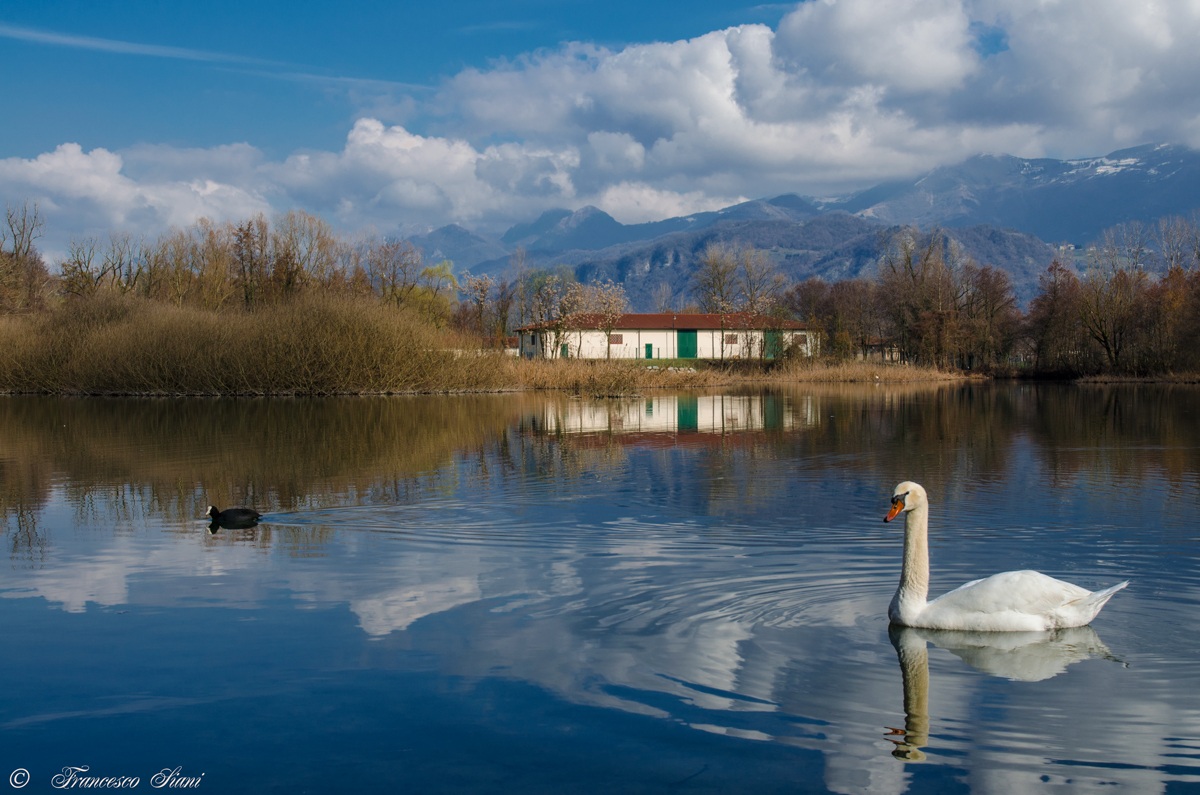 incontri lungo l'Adda...