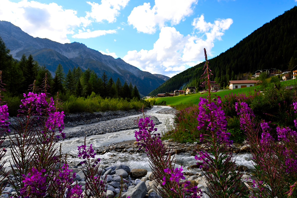 Solda Department (BZ)