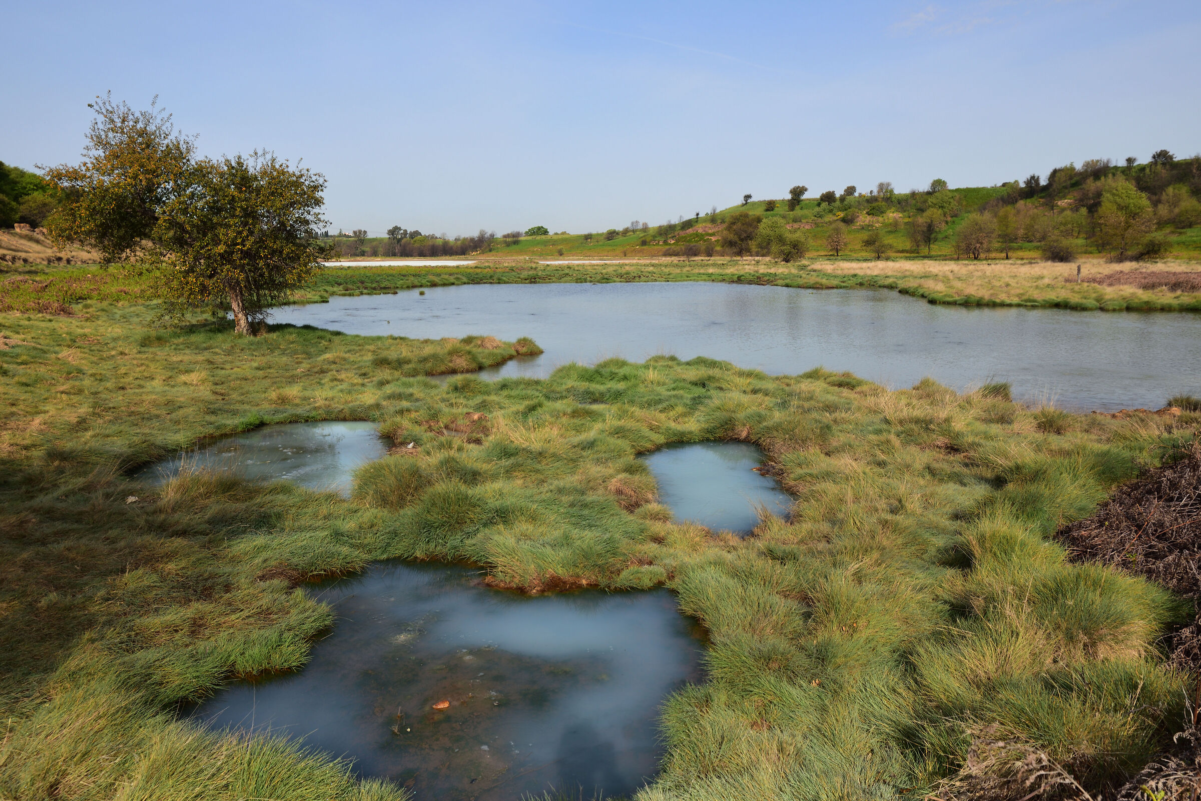 Laghetto della solfatara di  Pomezia (Roma)