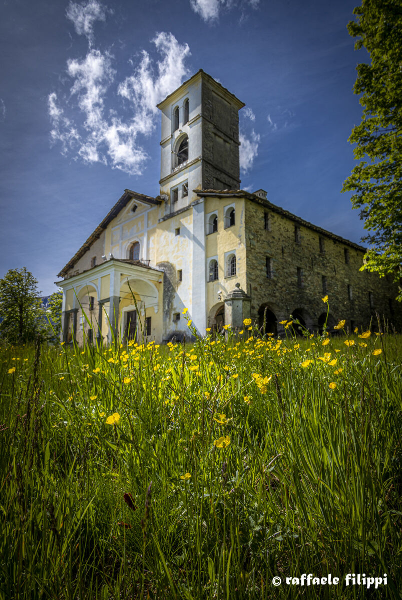 S. Grato e i ranuncoli - Deafard