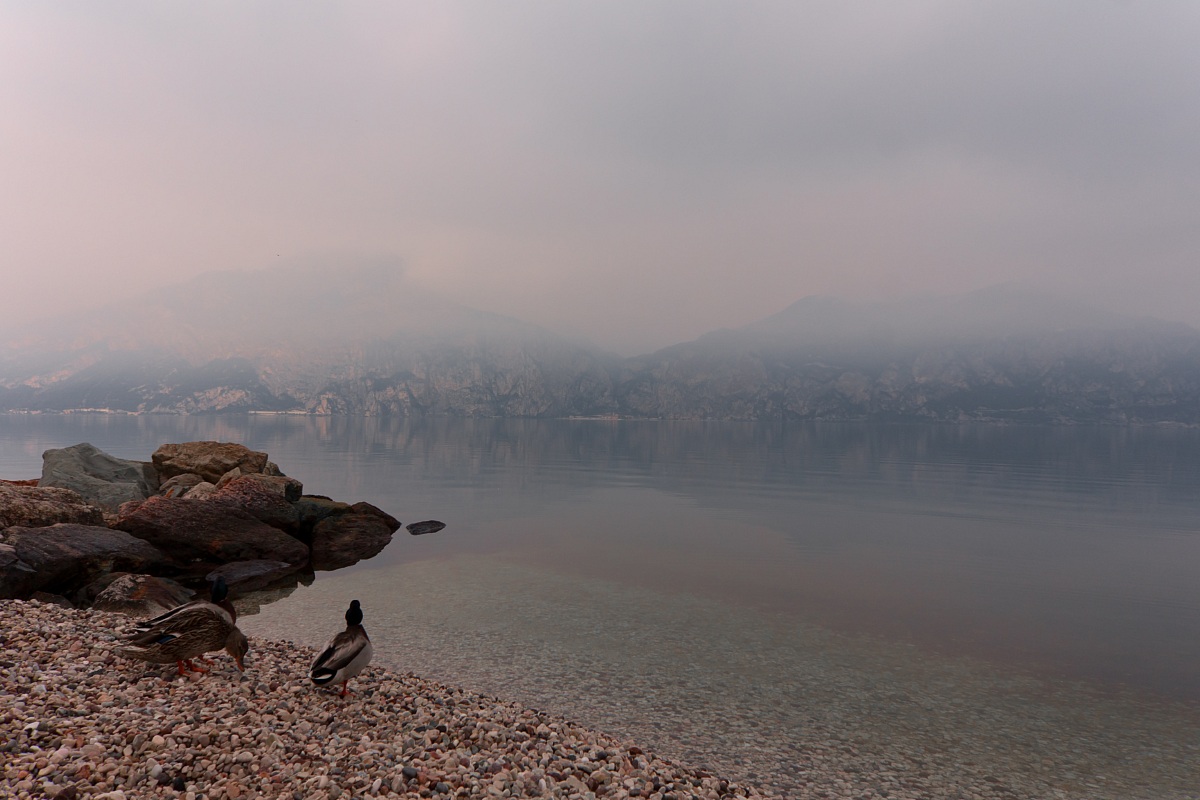 Di nebbia e d'acqua