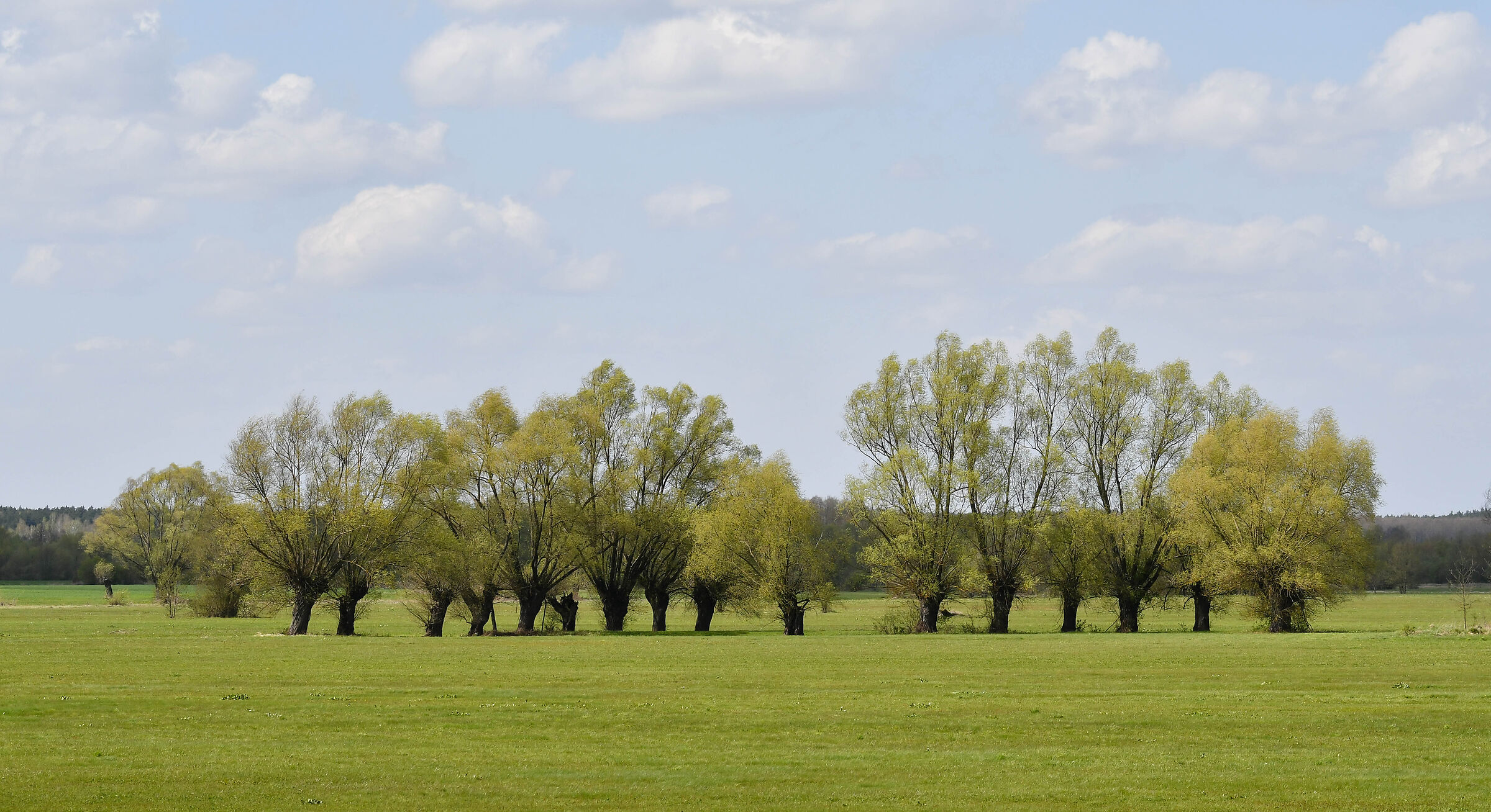 La valle del fiume Bug