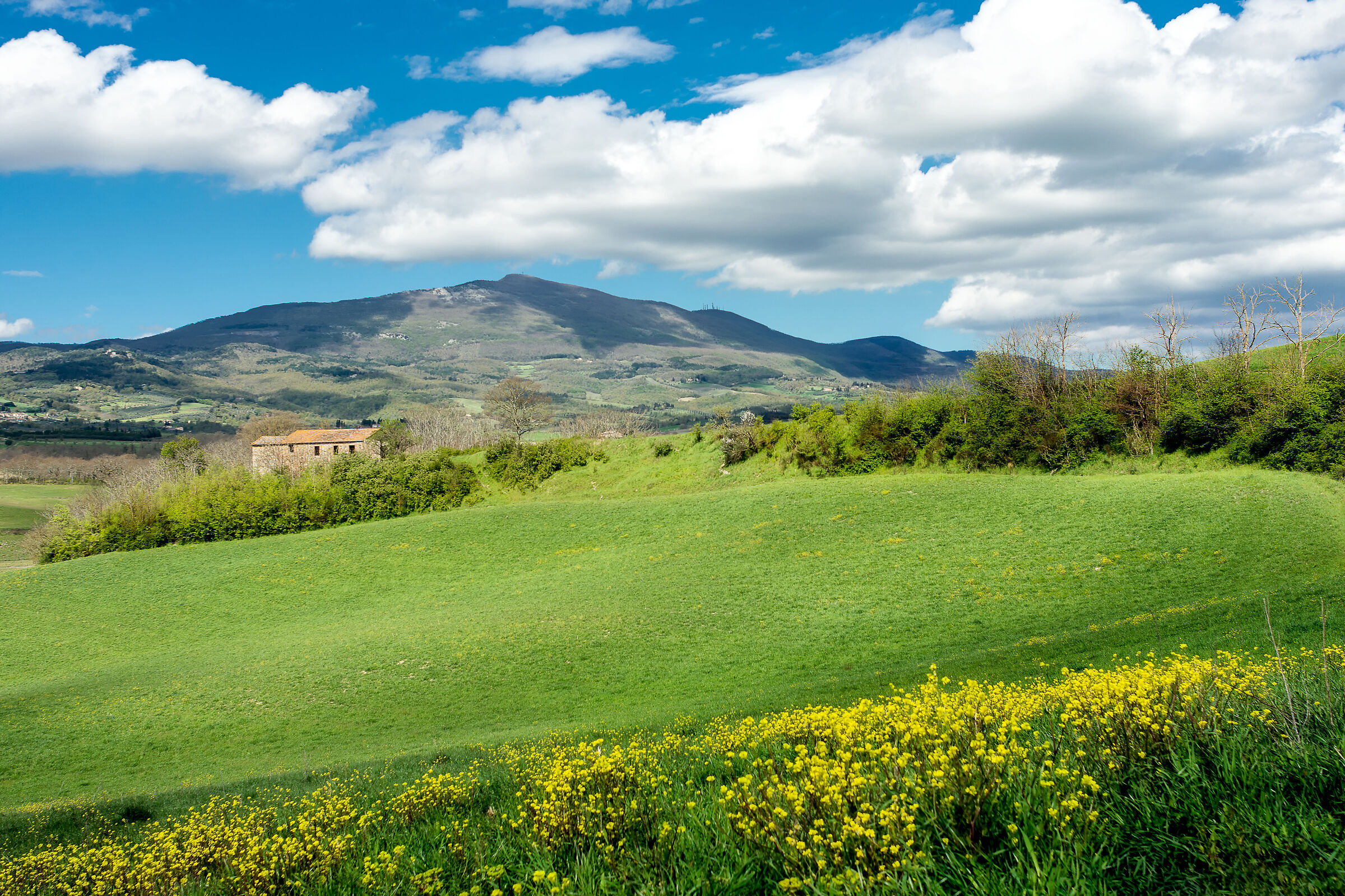 campagna umbra valdichiana bassa