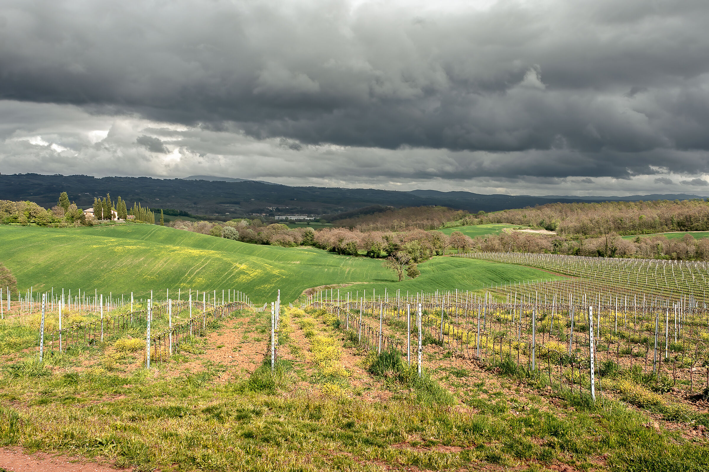 campagna umbra/toscana valdichiana bassa